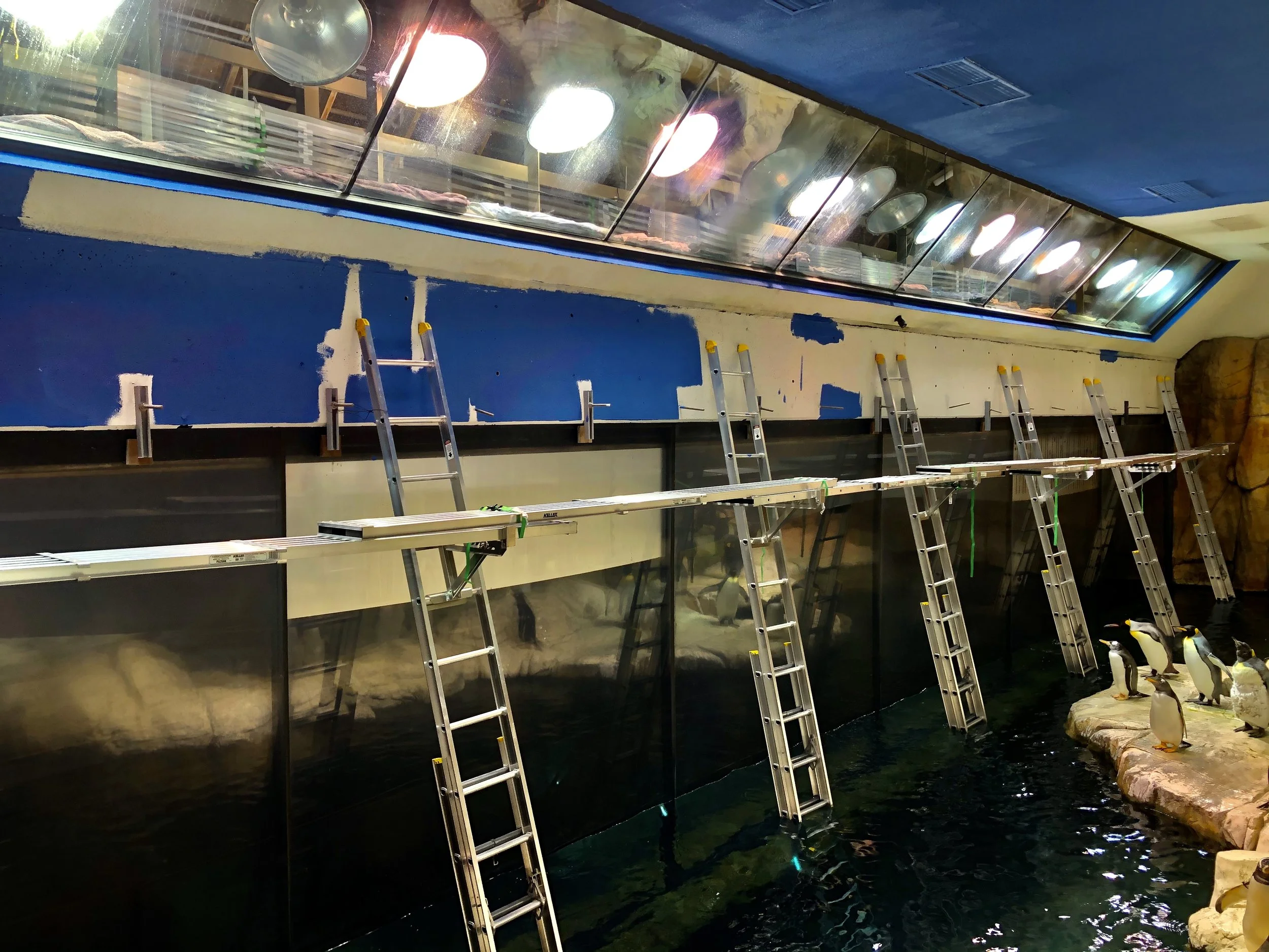 Henry Doorly Zoo Penguin Exhibit Installation, Commercial Installation, Decorative Finishes & plaster by Custom Artisan Finishes