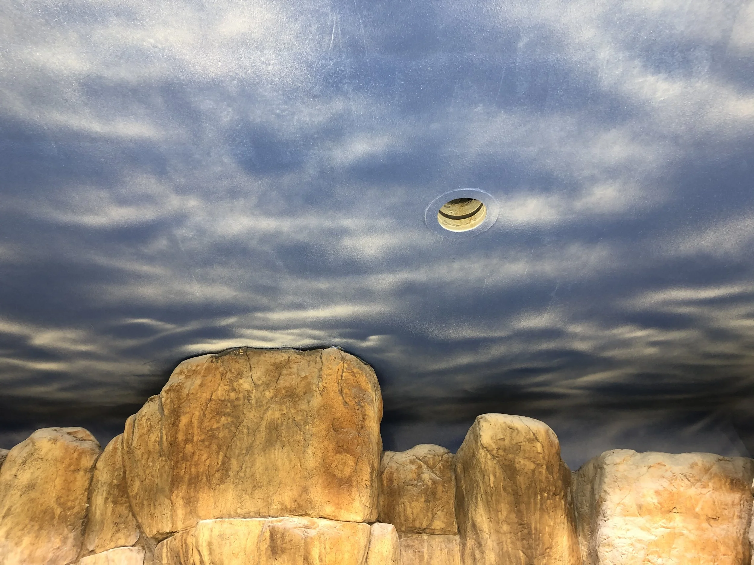 Henry Doorly Zoo Penguin Exhibit Installation, Commercial Installation, Decorative Finishes & plaster by Custom Artisan Finishes