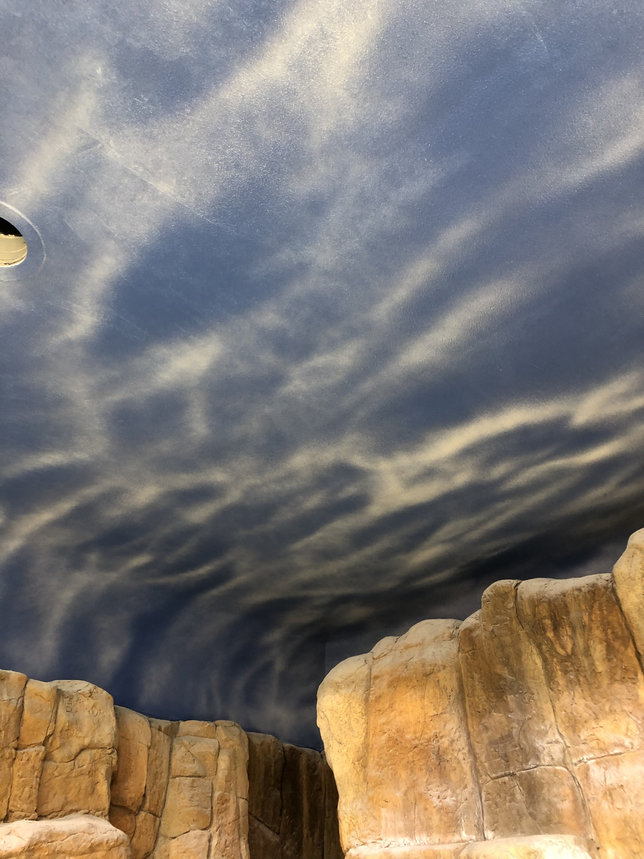 Henry Doorly Zoo Penguin Exhibit Installation, Commercial Installation, Decorative Finishes & plaster by Custom Artisan Finishes