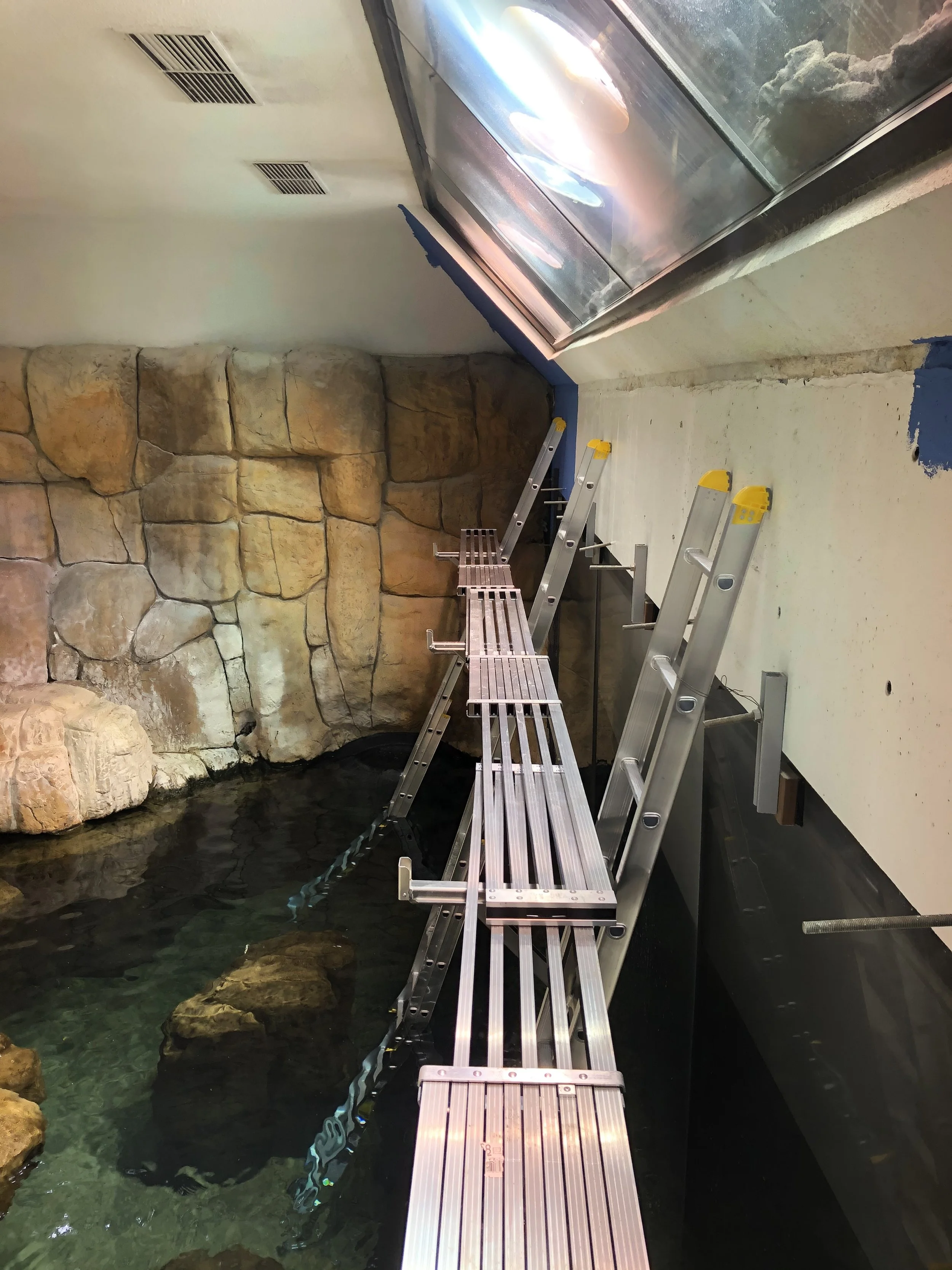 Henry Doorly Zoo Penguin Exhibit Installation, Commercial Installation, Decorative Finishes & plaster by Custom Artisan Finishes