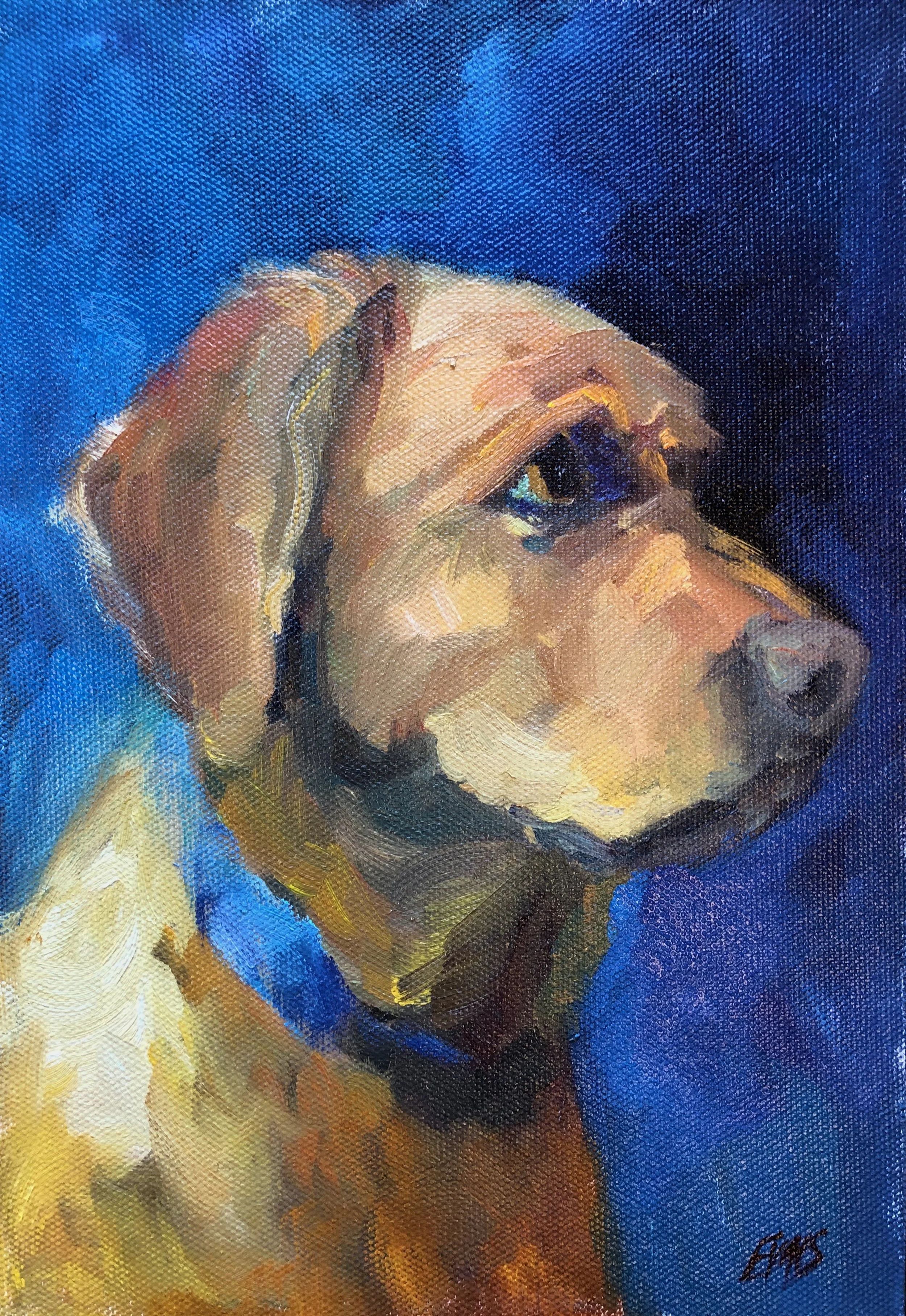 An oil painting of a dog with a blue background, showing a close-up of the dog's face in profile, with warm earthy tones and expressive brushstrokes by artist Amy Evans.