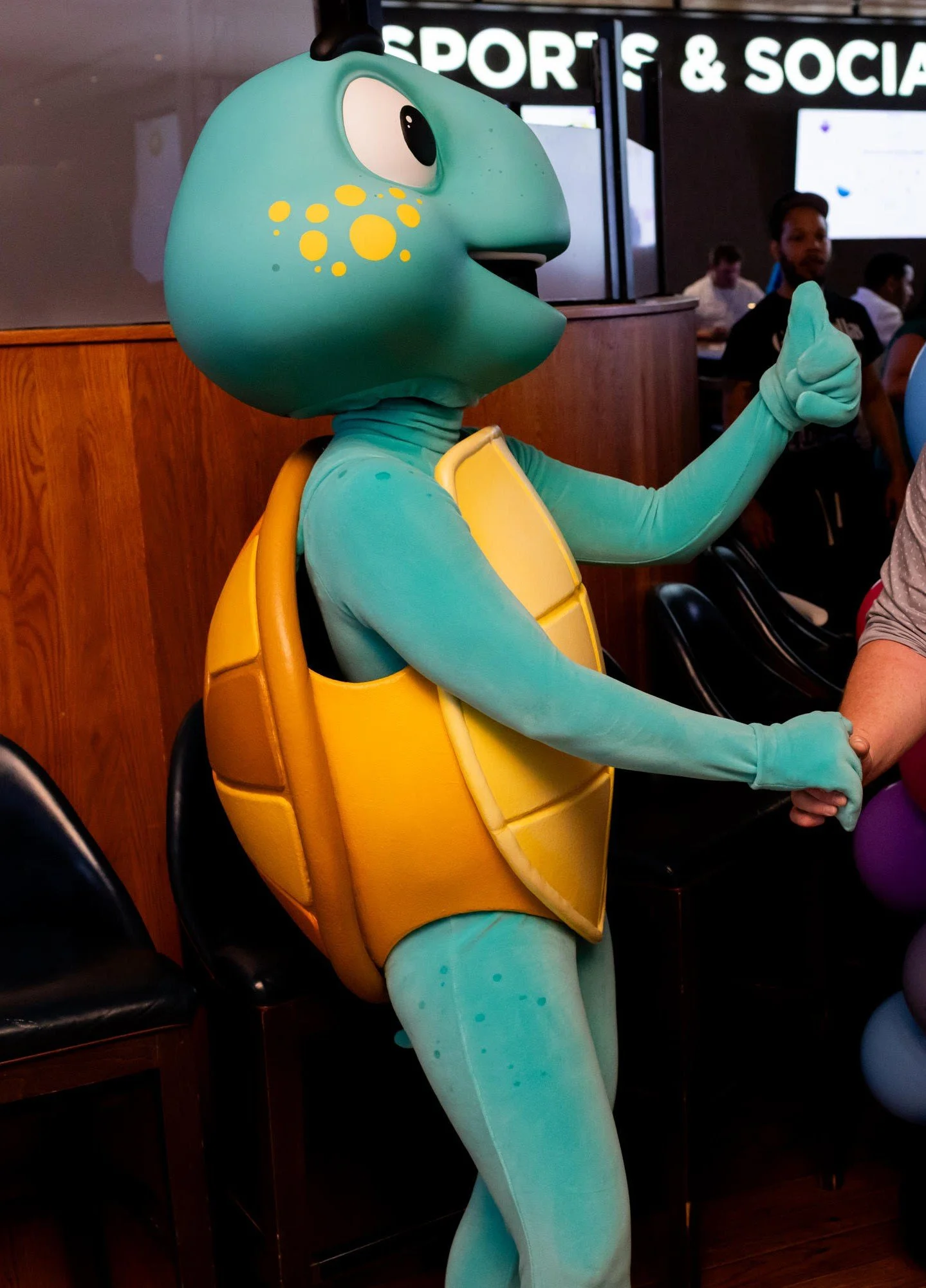"IME"  | Turtle Costume | Ideal Concepts