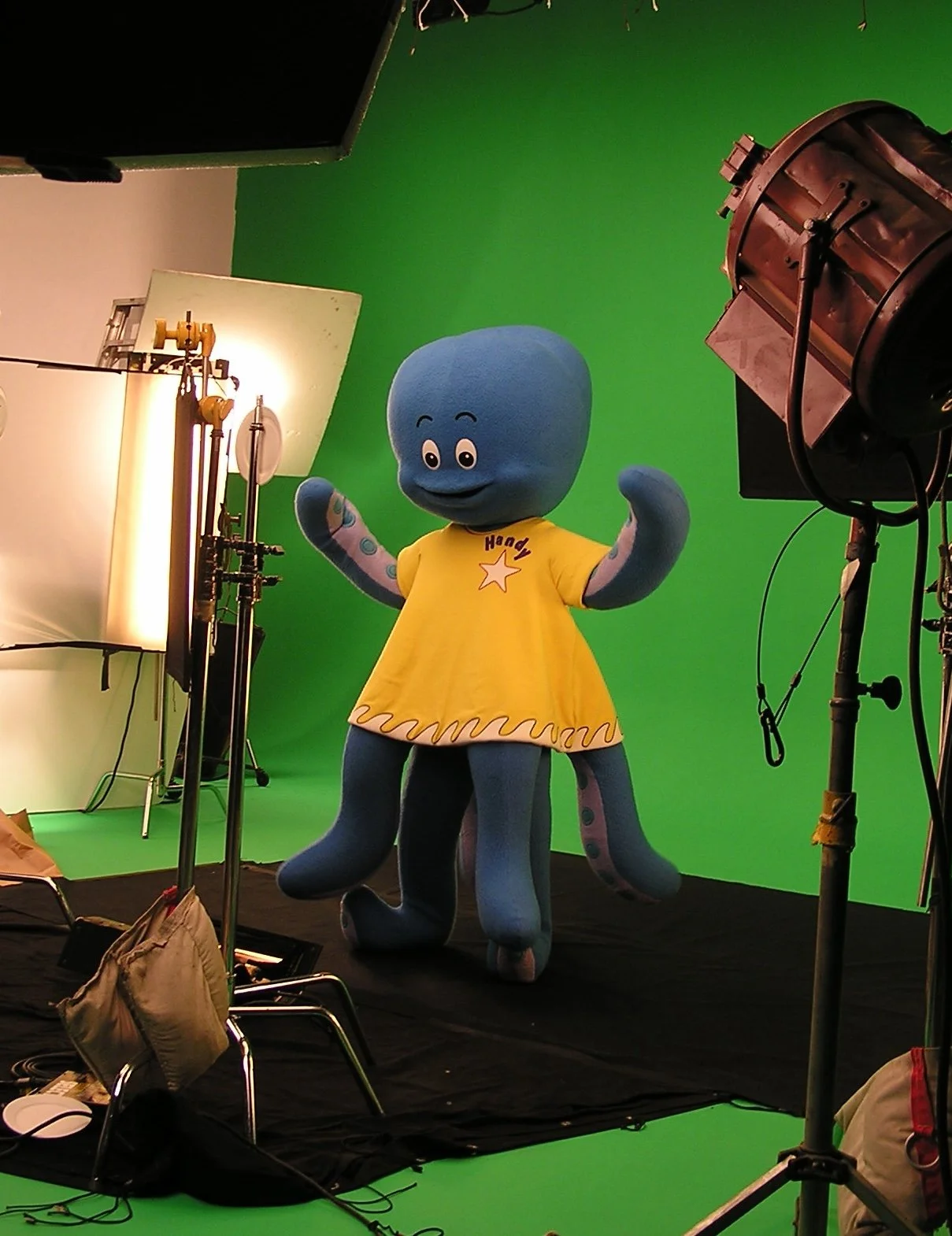 Filming Handy the Octopus