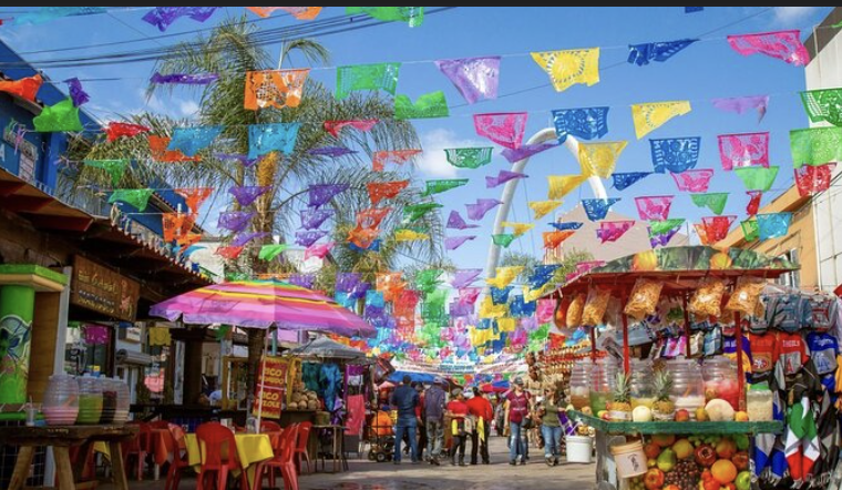 Screenshot 2026-02-19 at 11.52.09 AM.png