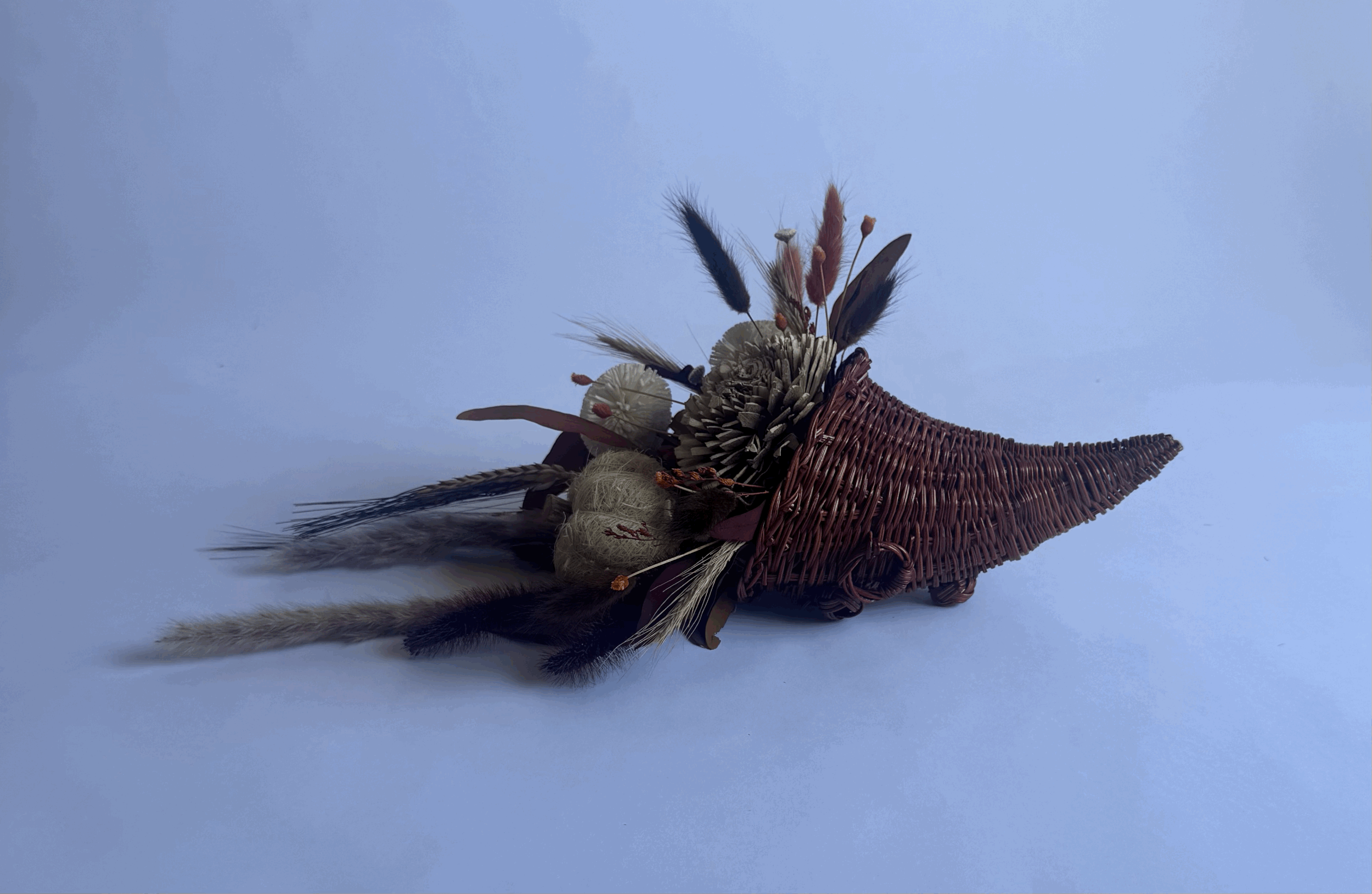 tempImagejsUM0n.gif (Copy)