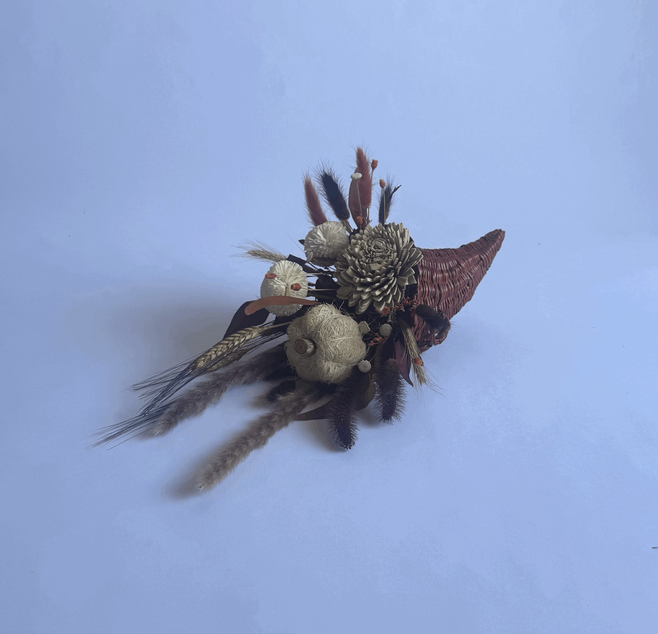 tempImagezsg7SA.gif (Copy)