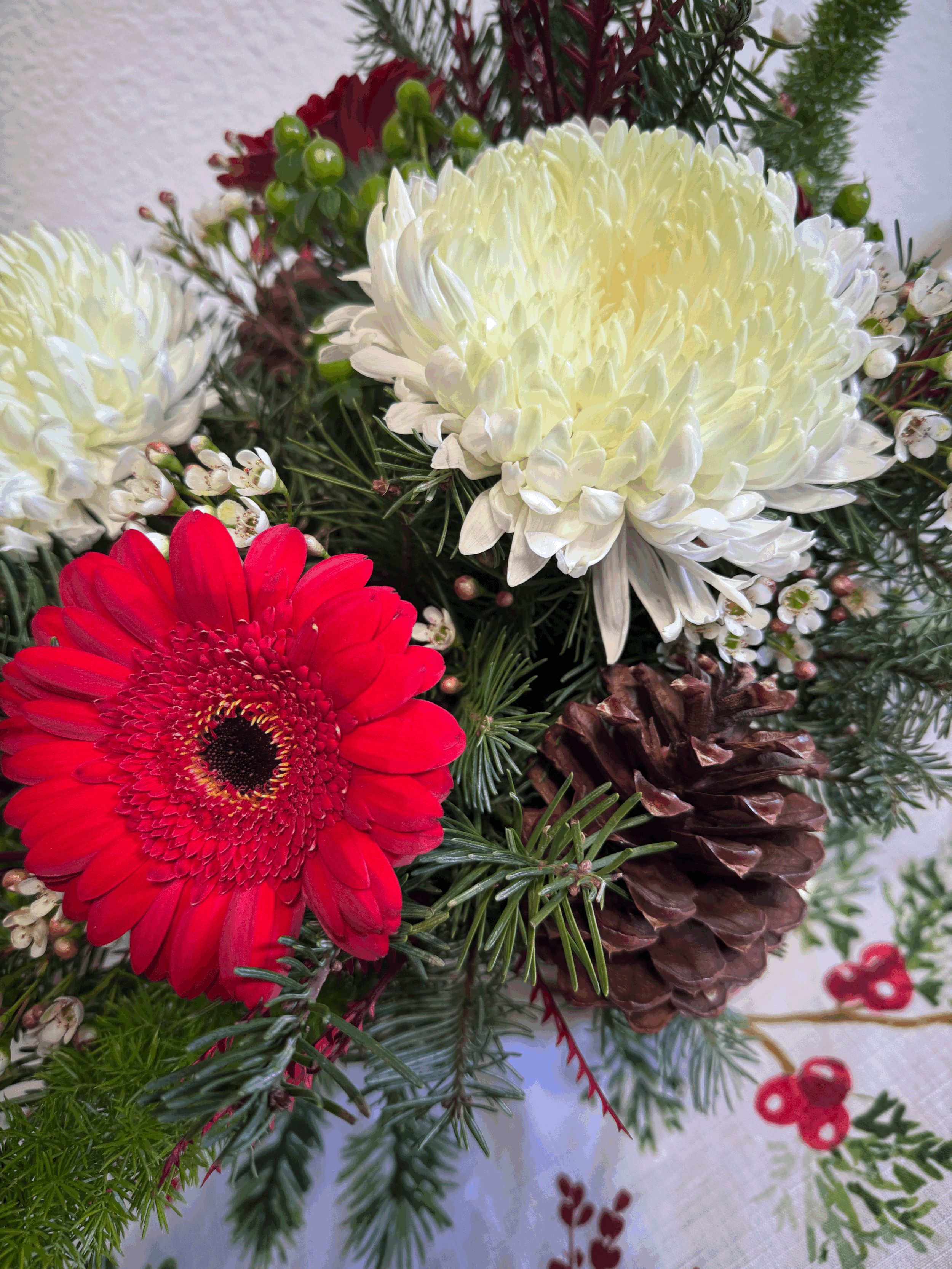 tempImagePWIM8e.gif (Copy)