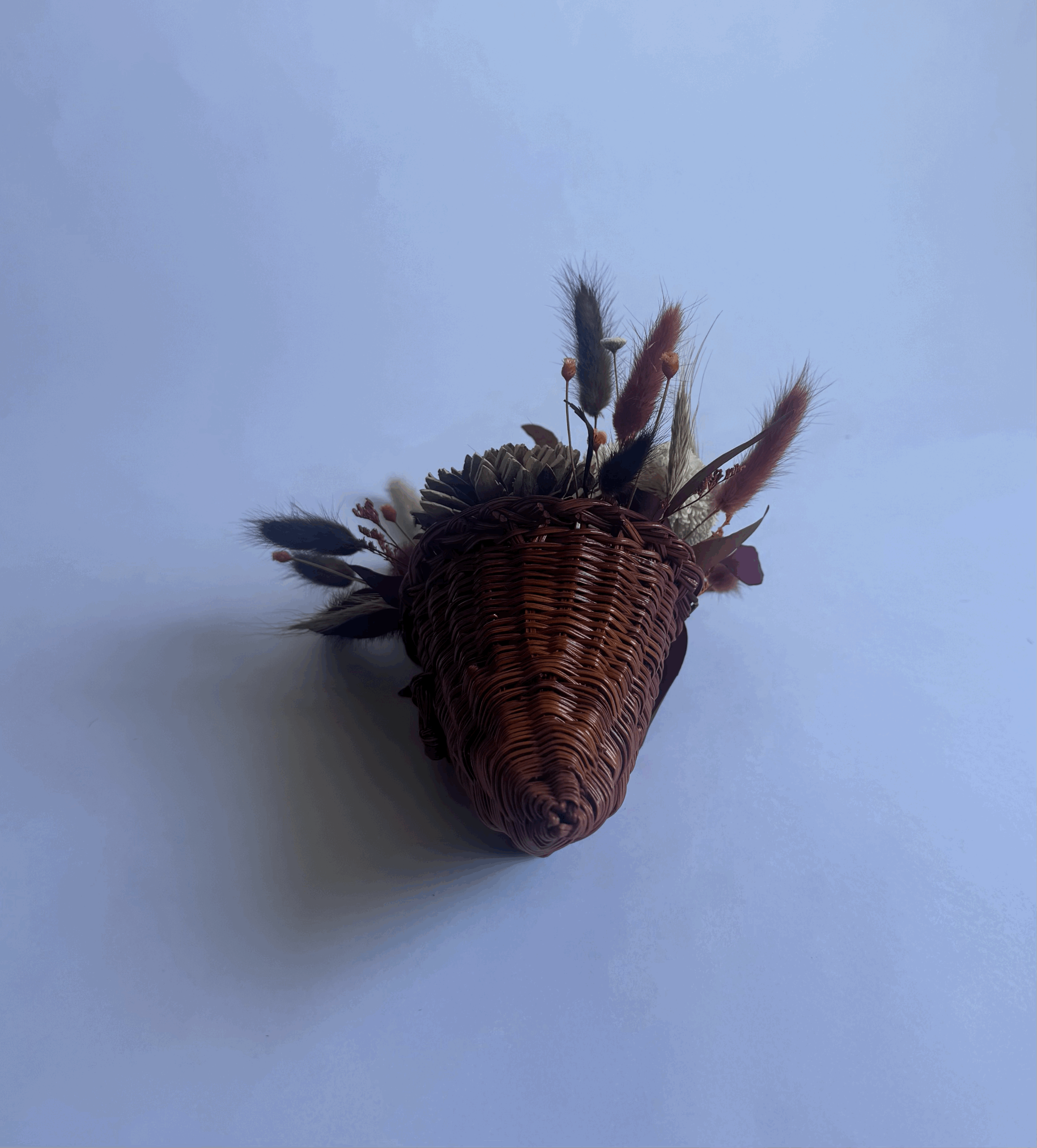 tempImagesqlGif.gif (Copy)