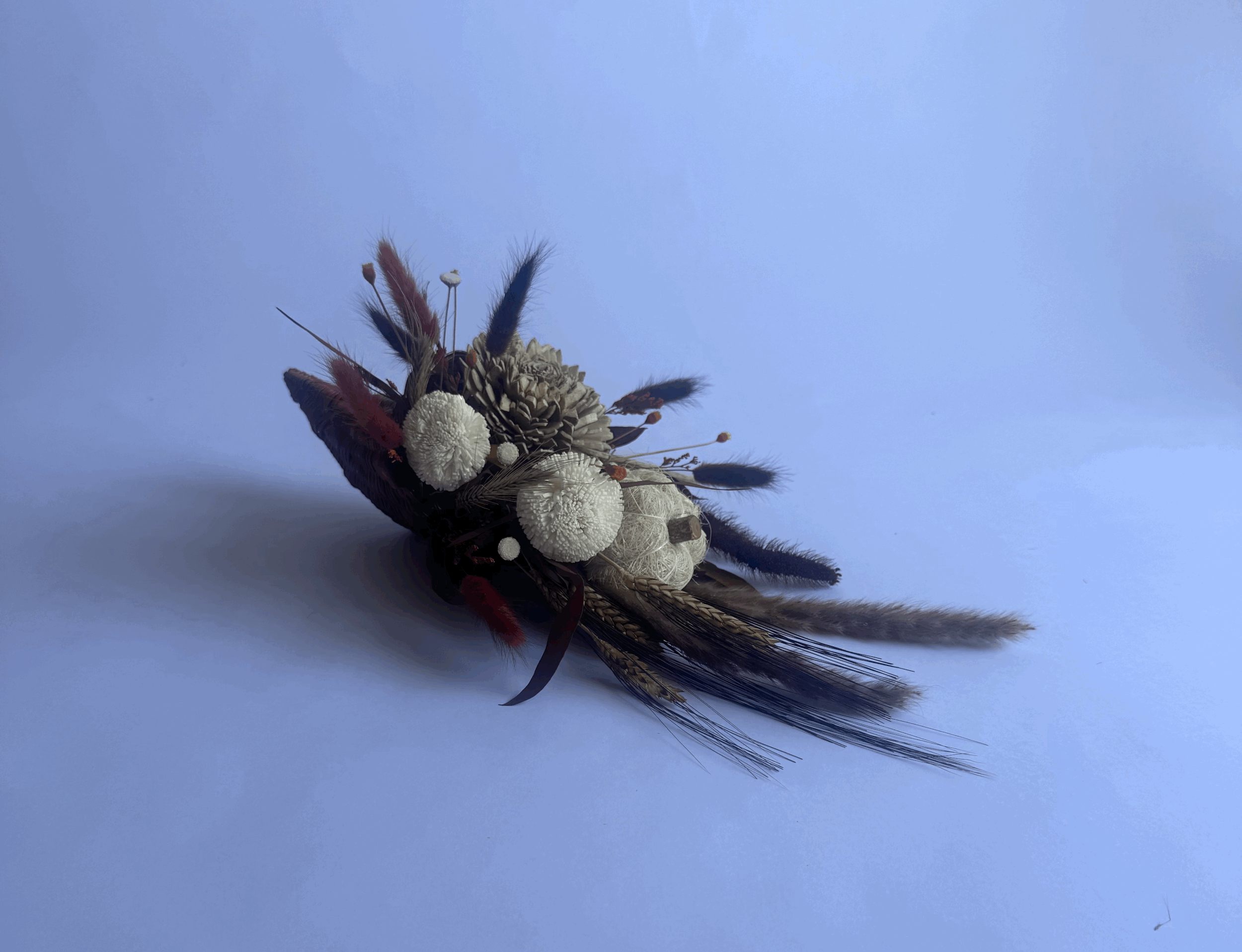 tempImageIV9vKV.gif (Copy)