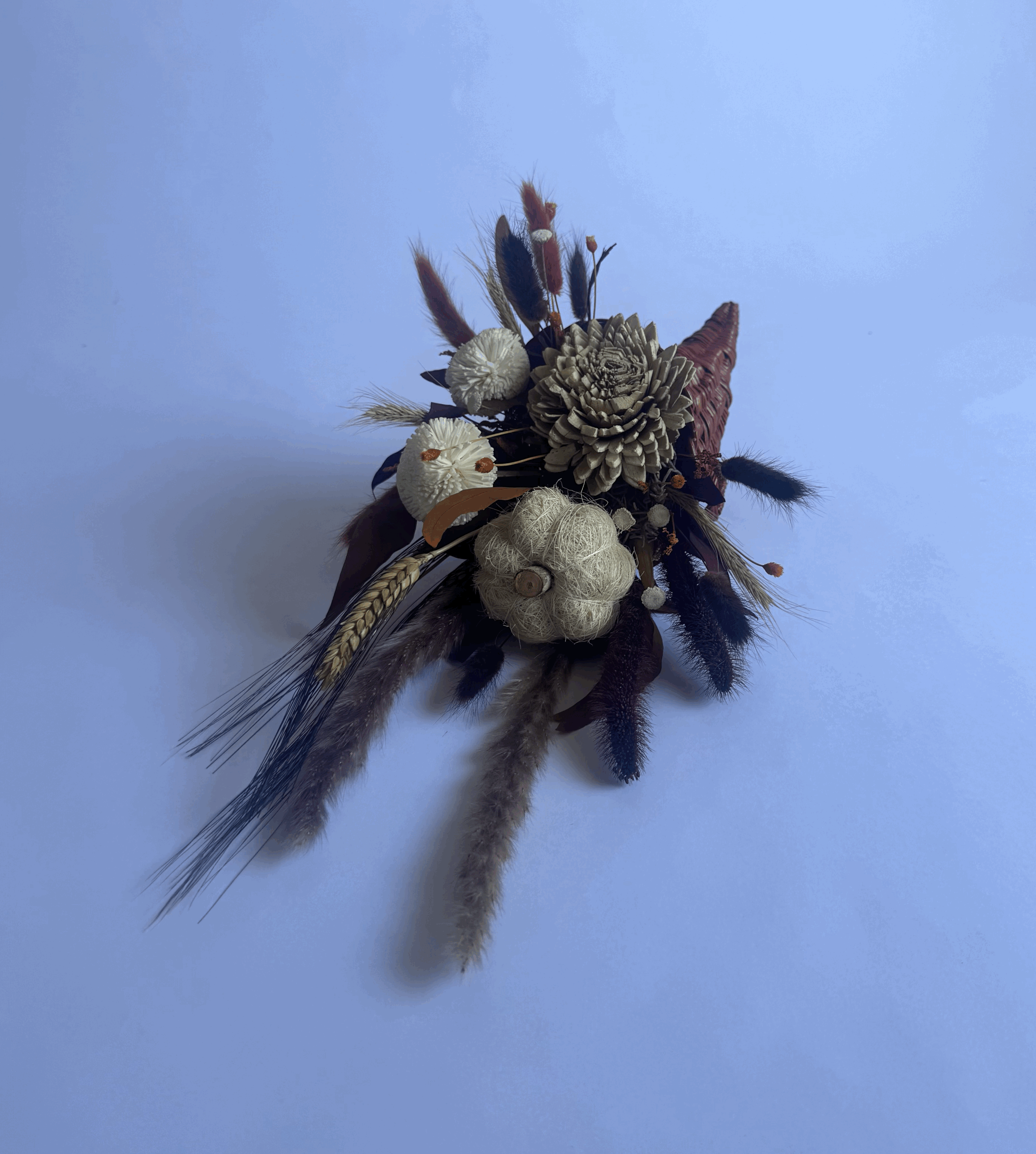 tempImage5fQ2Nj.gif (Copy)