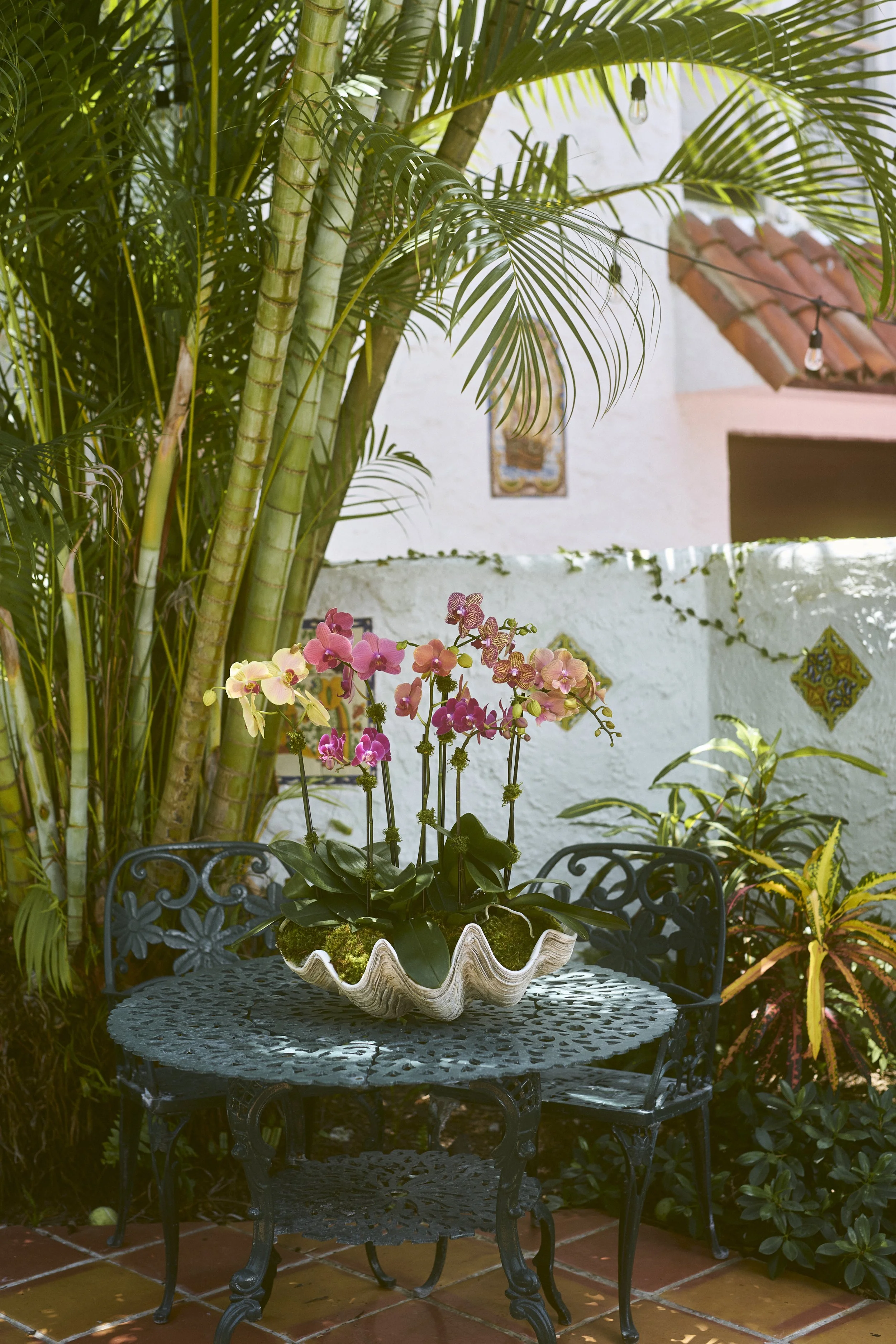 Orchid arrangement larget sunset clam shell.jpg