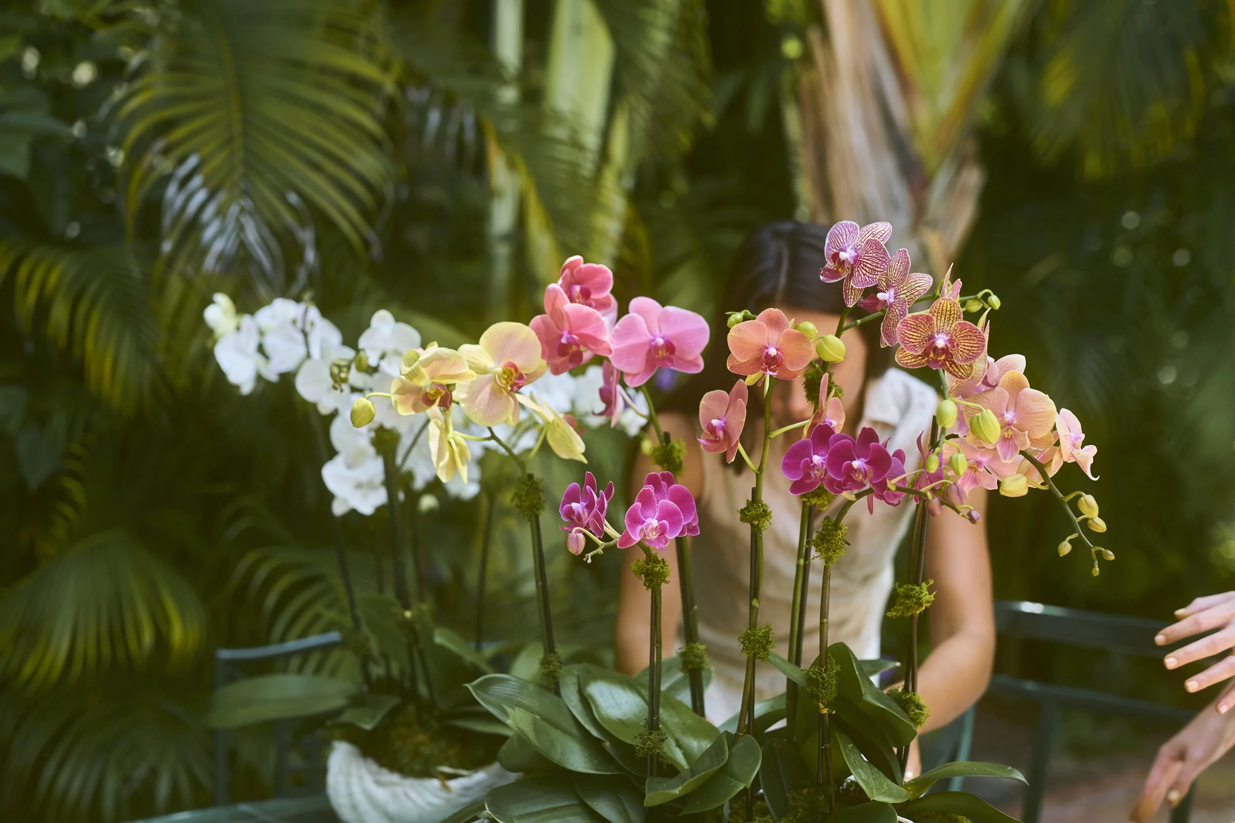 Natalie building sunset orchid arrangement.jpg