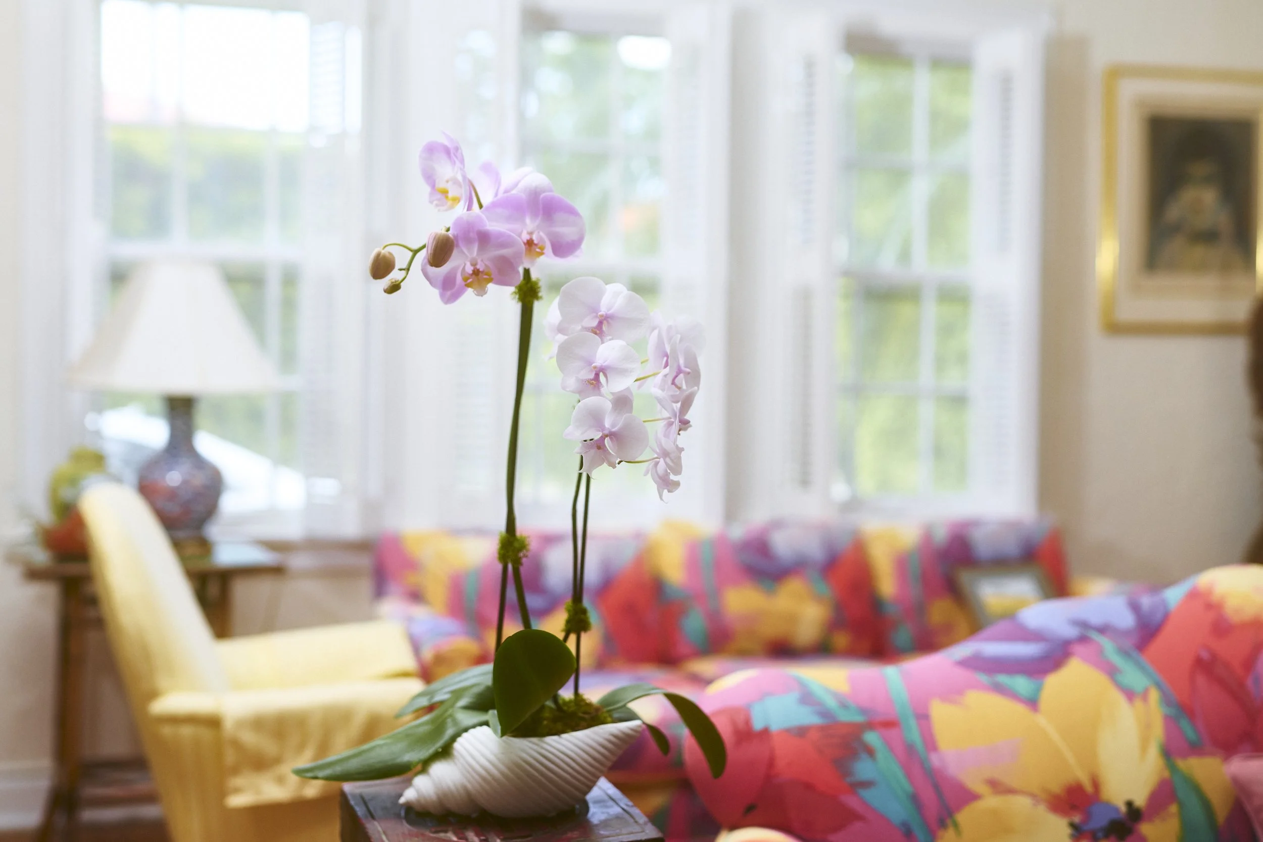 Orchid arrangement conch shell.jpg