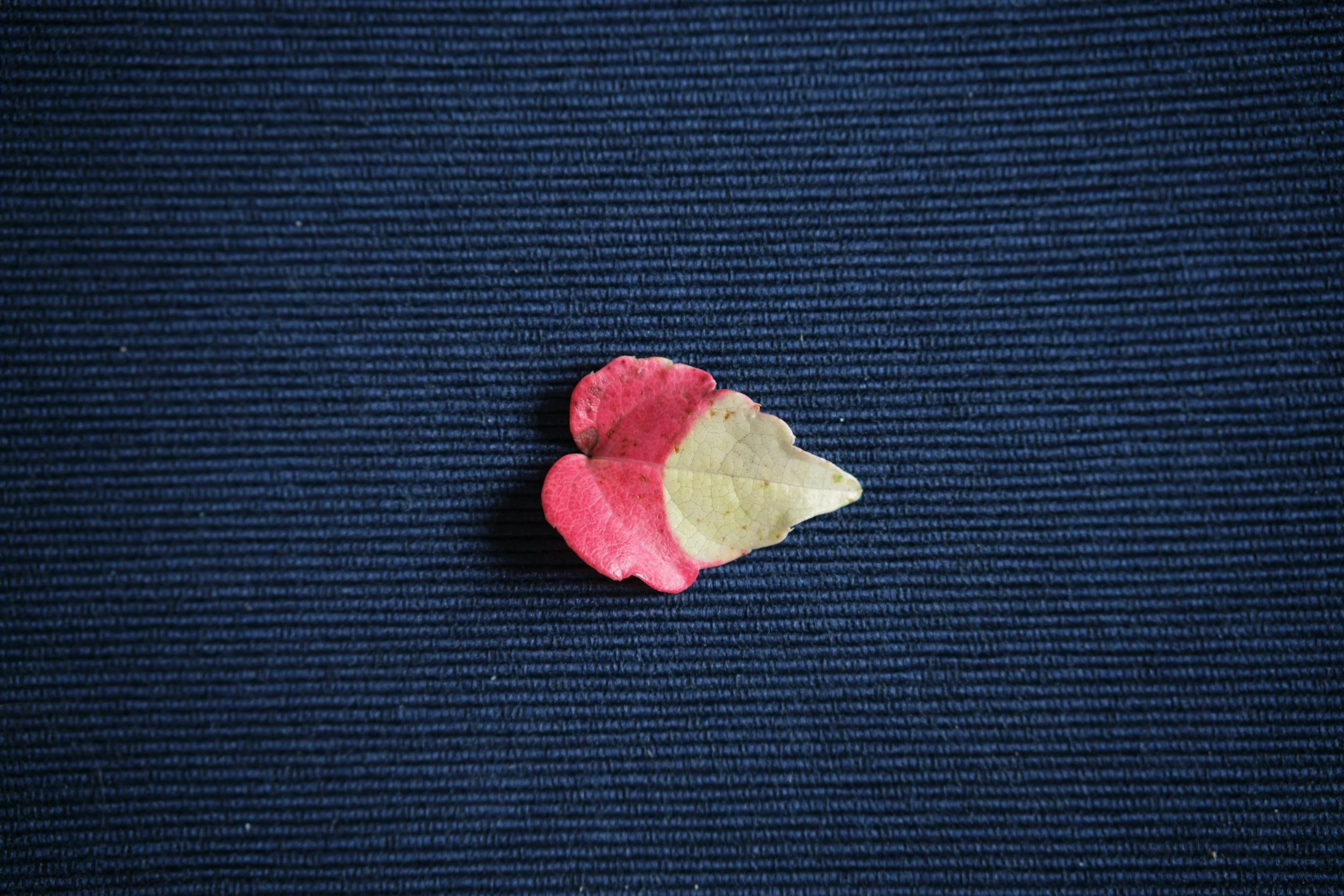 Perfectionism Isn't Just a Personality Trait, It's a Trauma Response