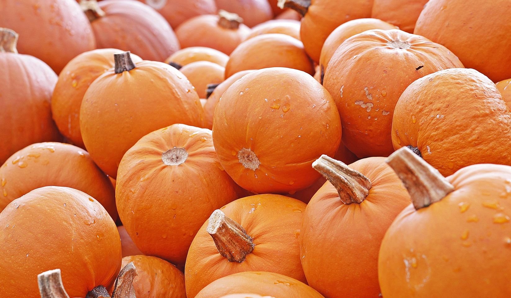 Pumpkin Pie in a Bowl