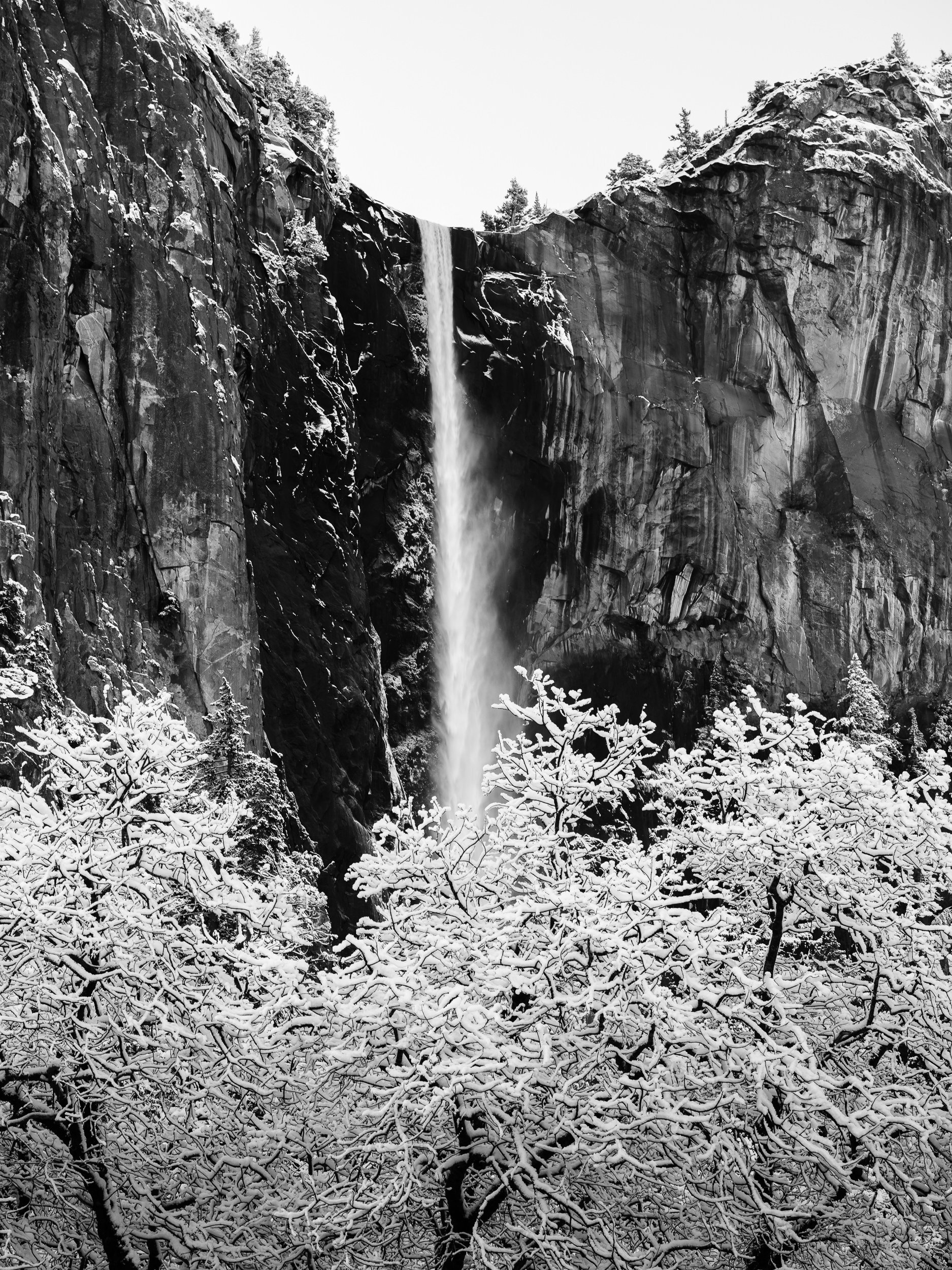 The Fall