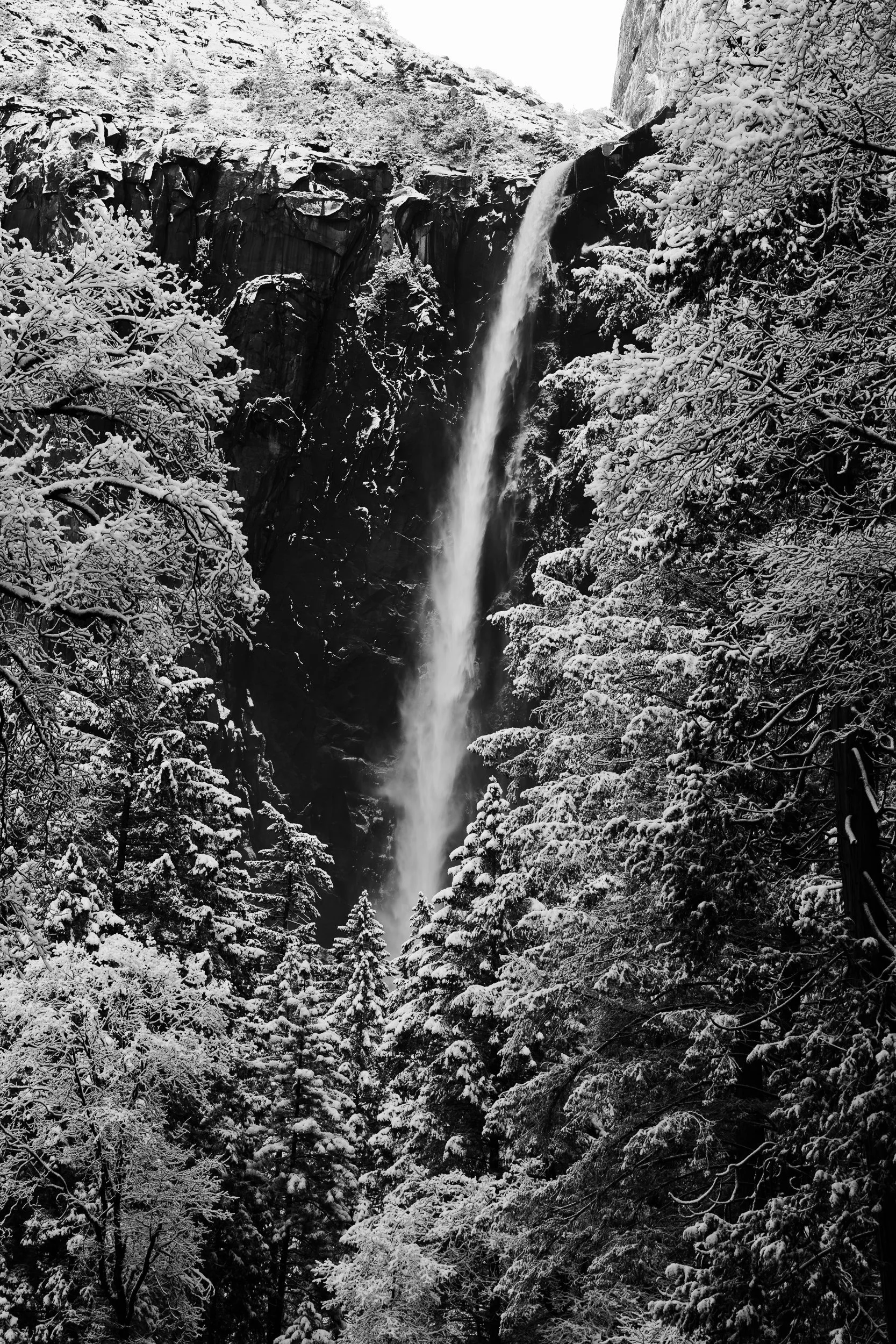 A Vertical Moment