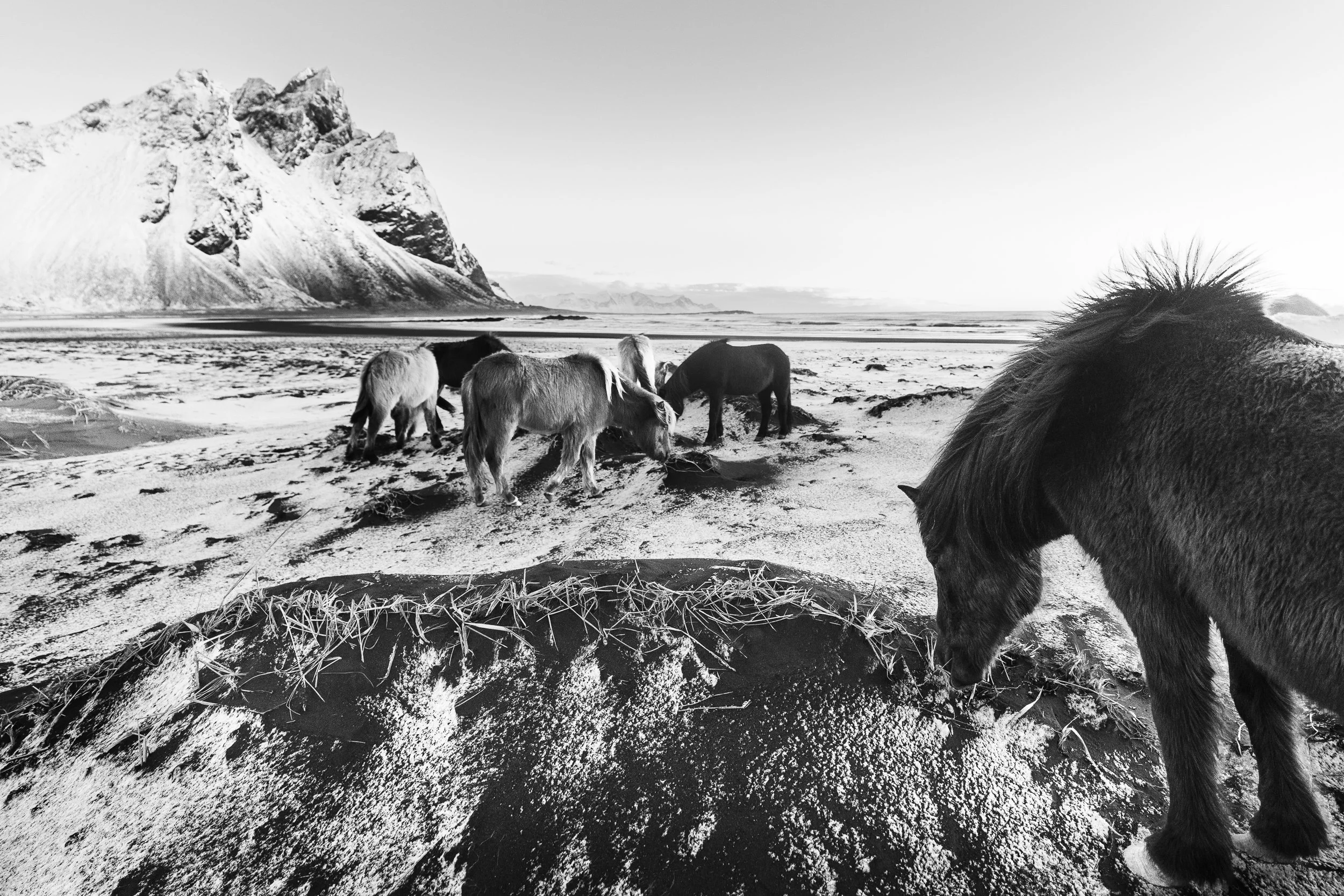 Guardians-of-Winter-Iceland-black-and-white-fine-art-print-Vasilis-Moustakas.jpg