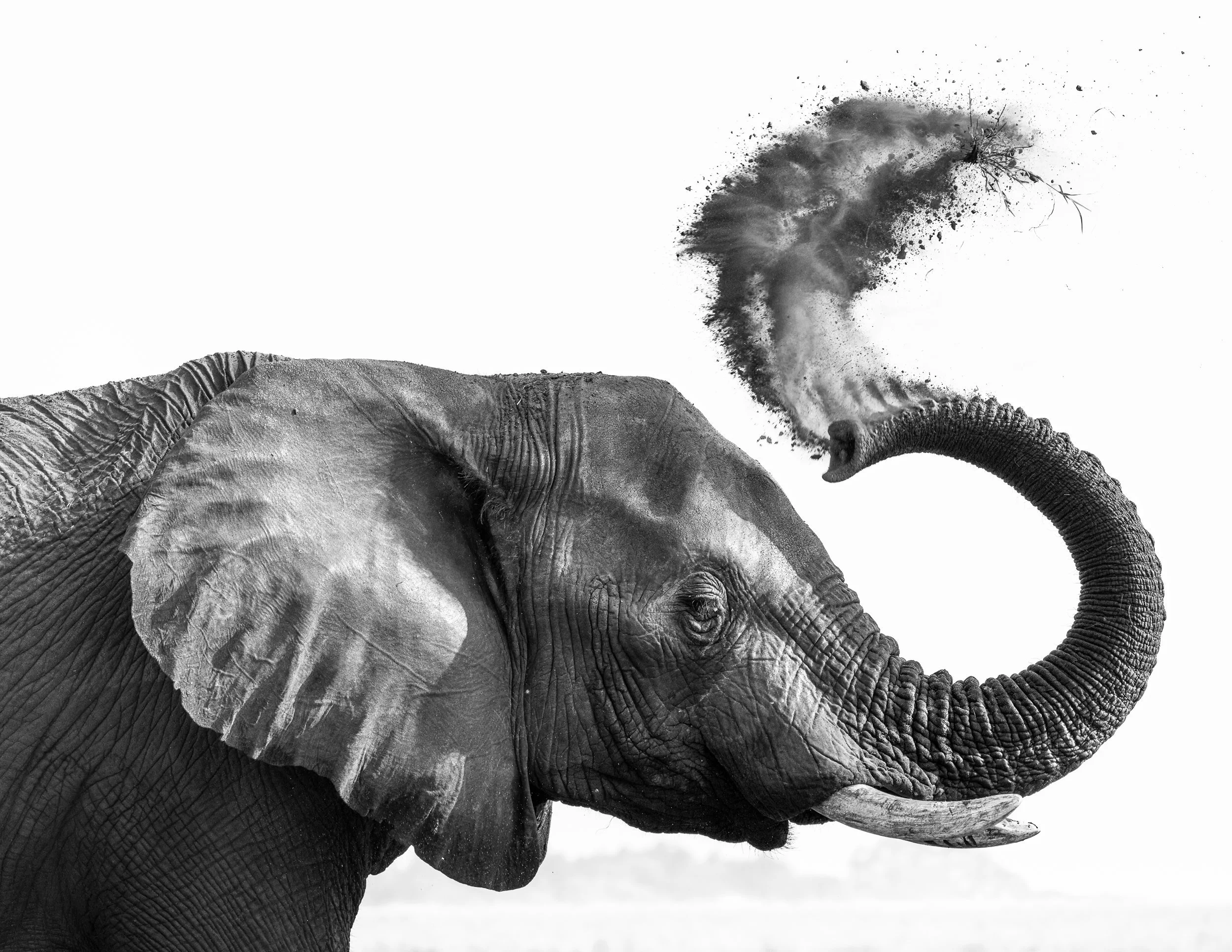 Dust Spirit