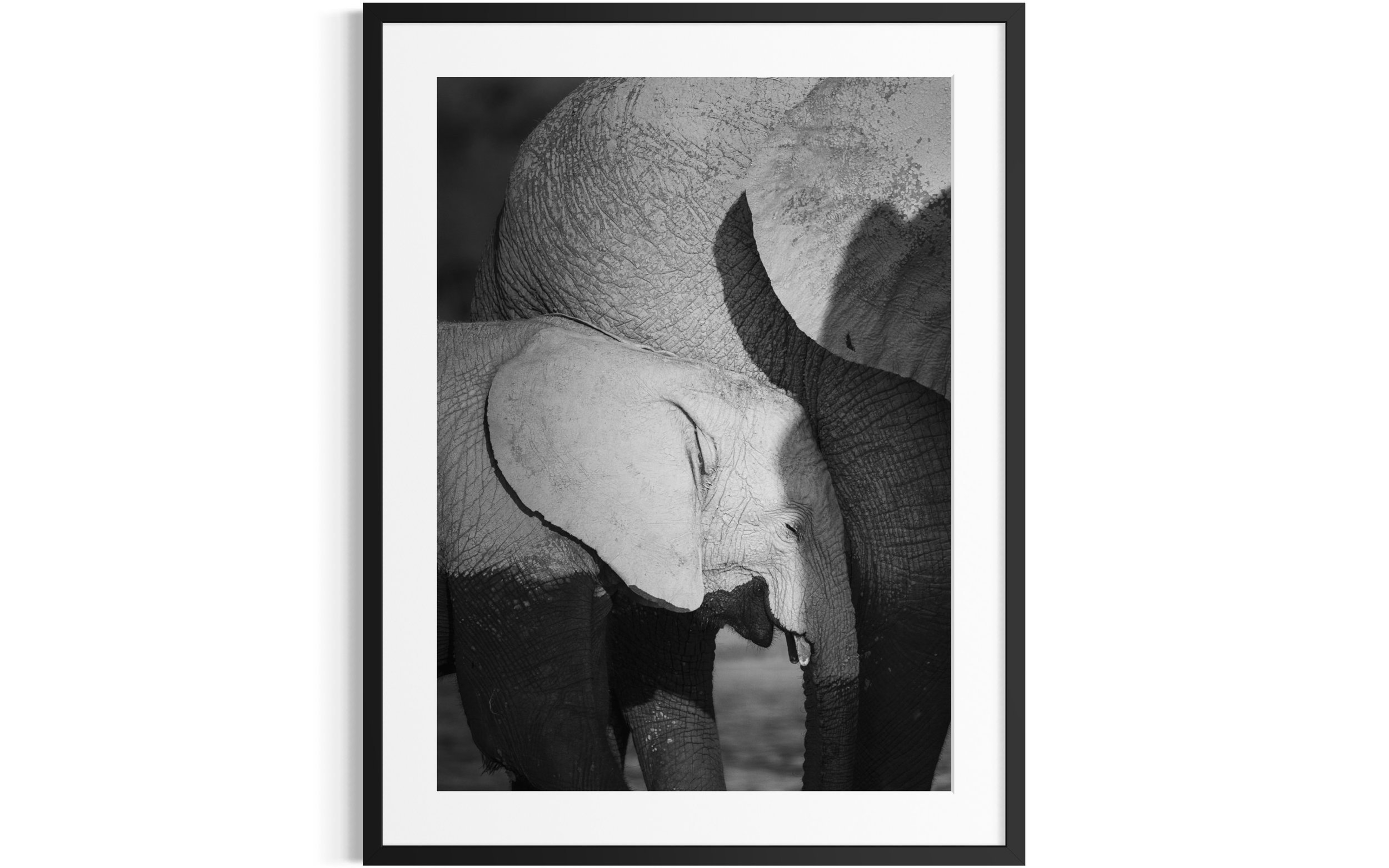 Love's Shadow — framed large format fine art print by Vasilis Moustakas, shown in interior setting