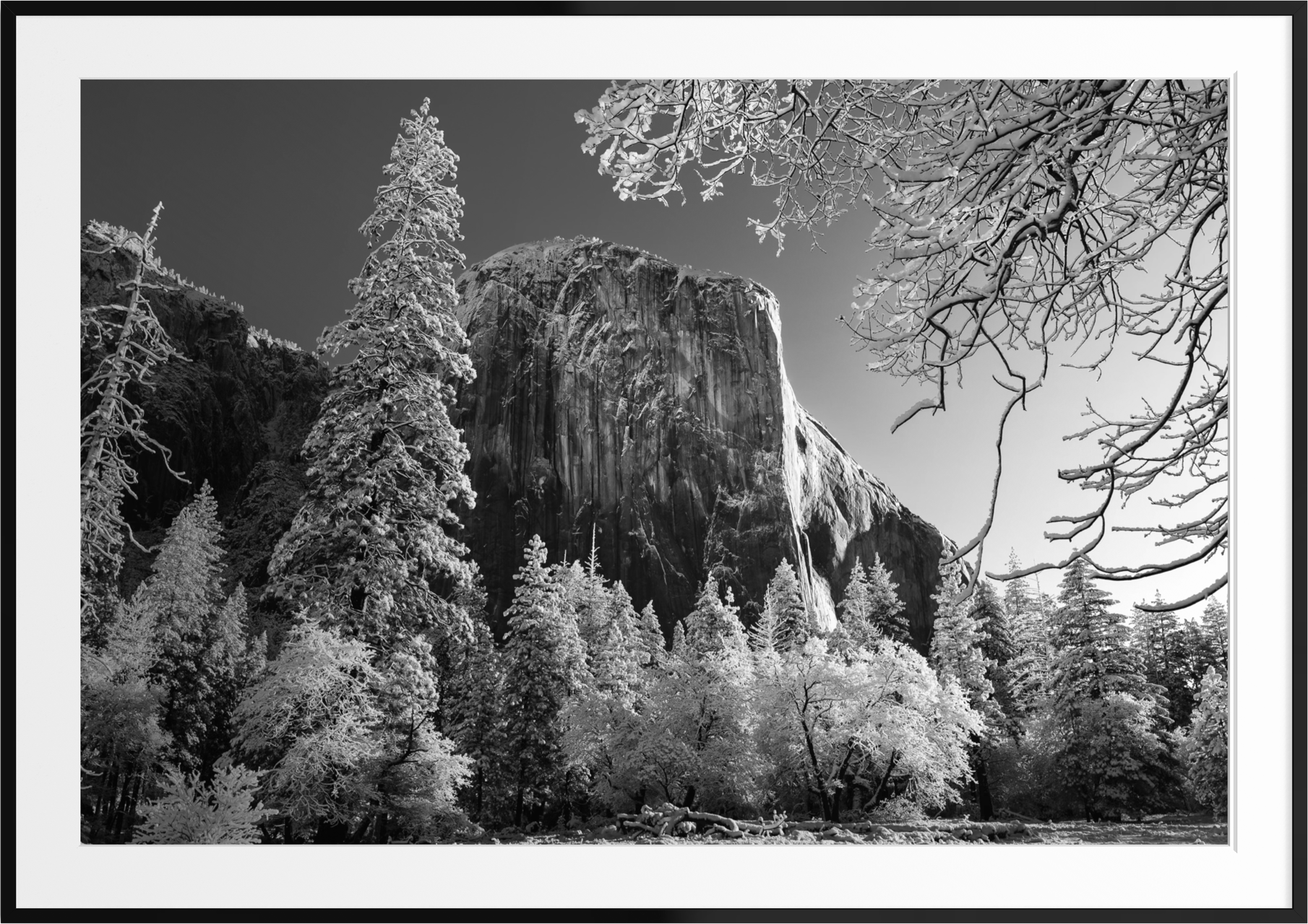 A framed black and white photography print of a snowy landscape with tall trees and a large rock formation or mountain in the background.