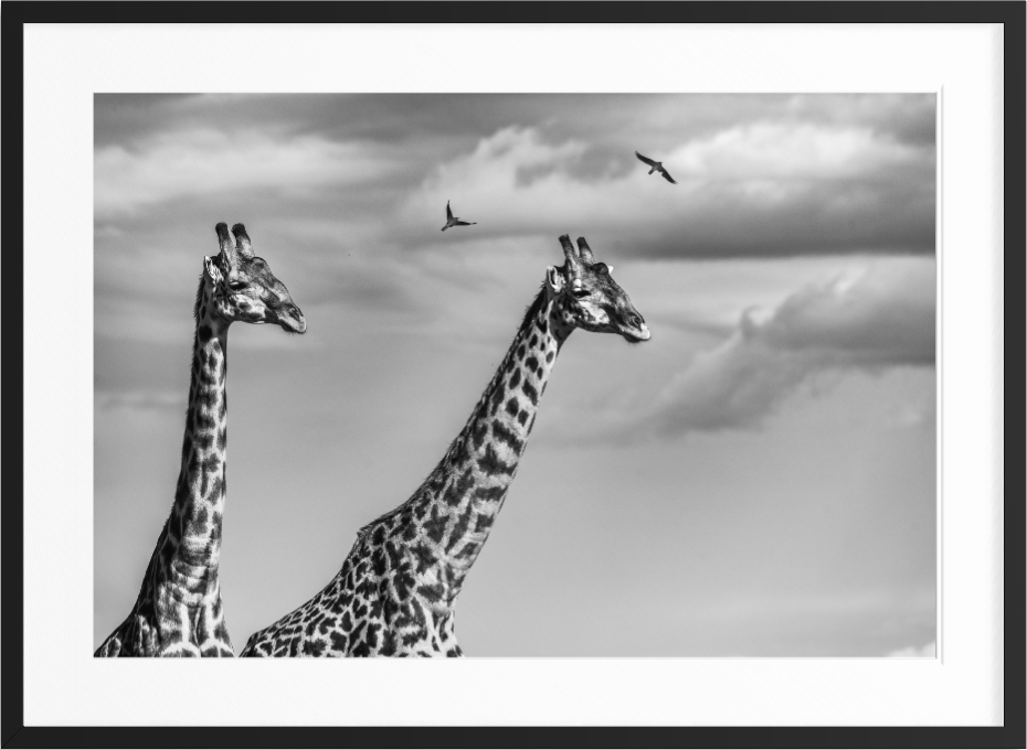 framed large format fine art print by Vasilis Moustakas, shown in interior setting