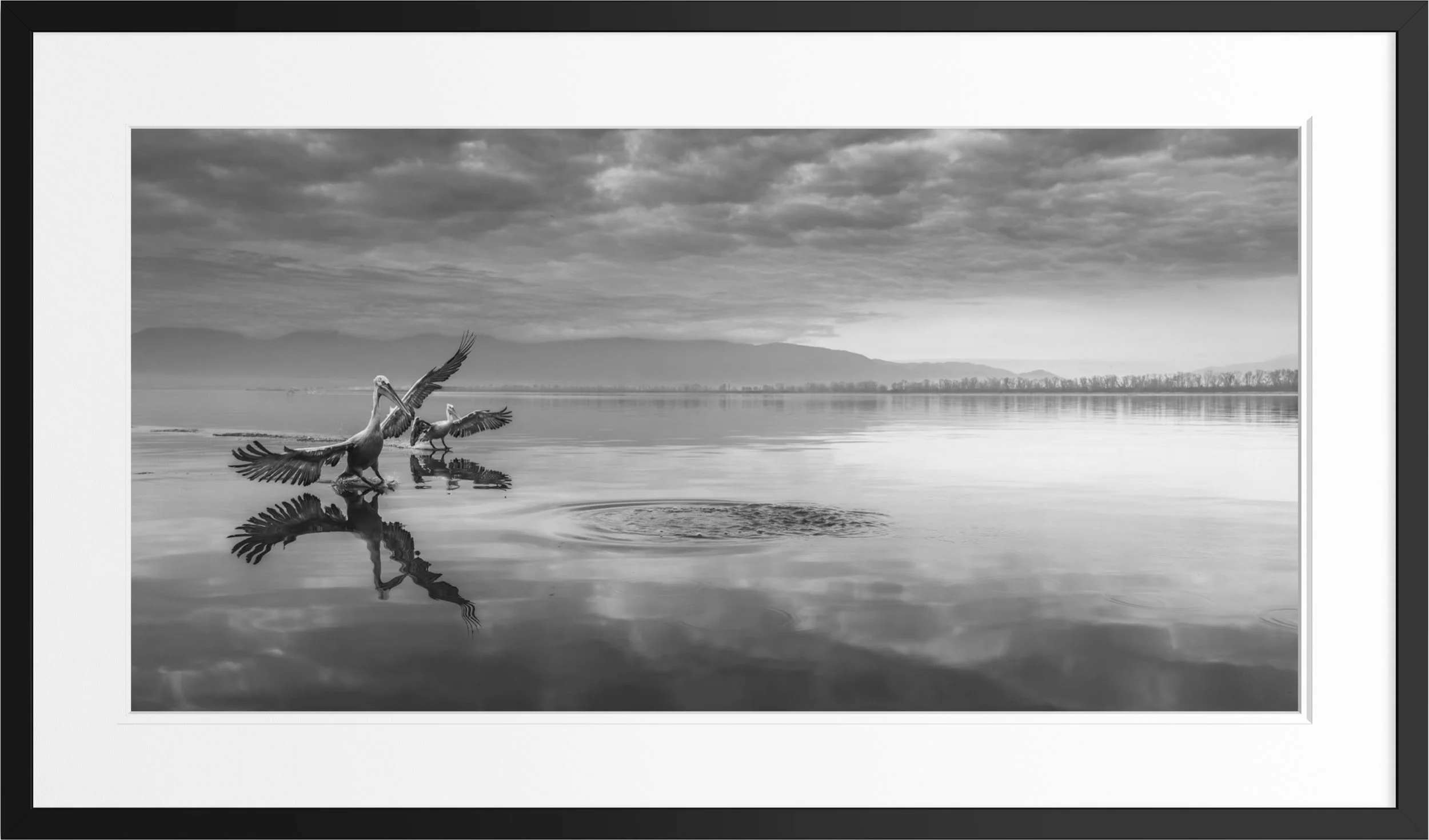 Tranquil Reign — framed large format fine art print by Vasilis Moustakas, shown in interior setting