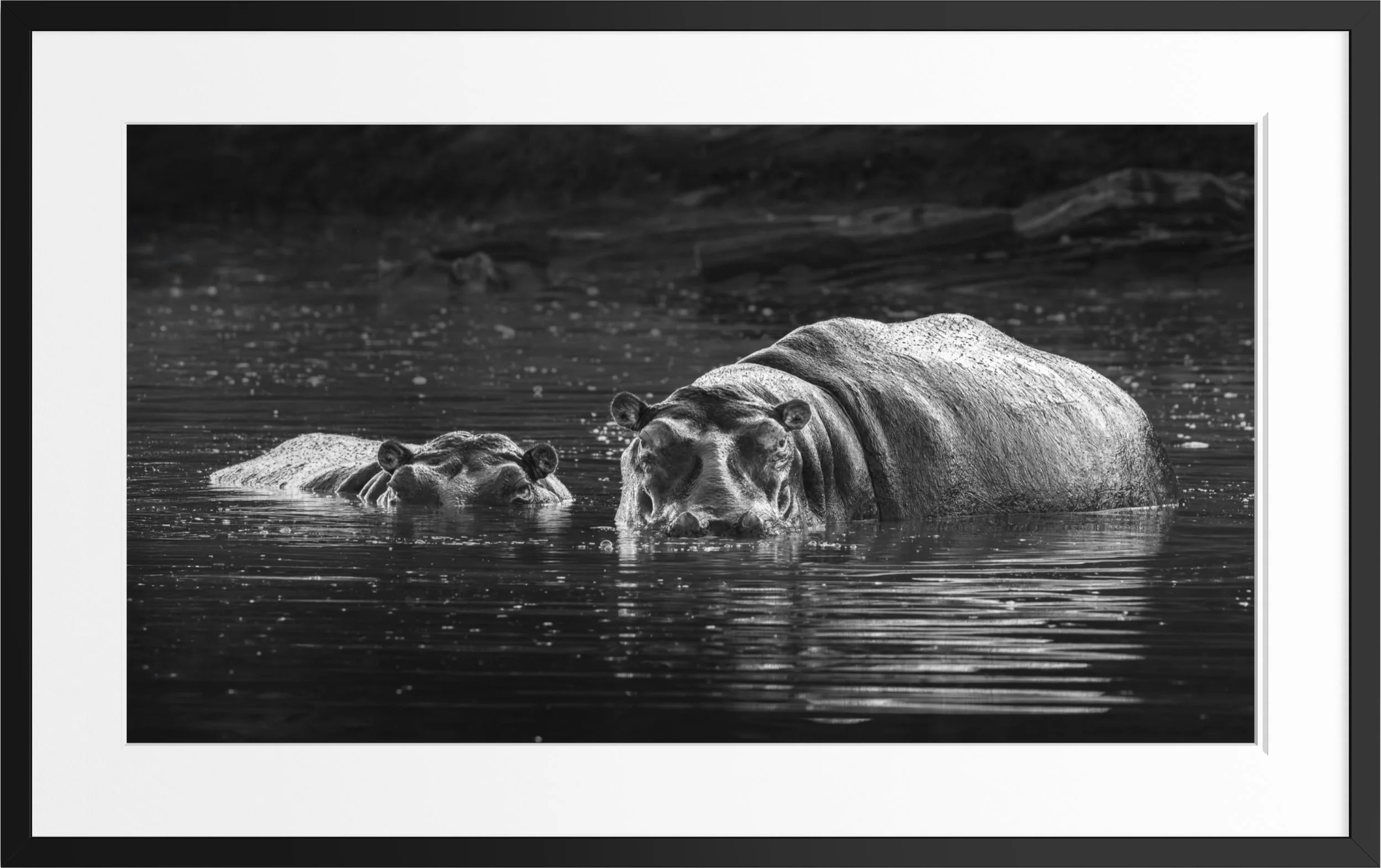 Below the Surface — black and white hippo fine art print, framed, by Vasilis Moustakas