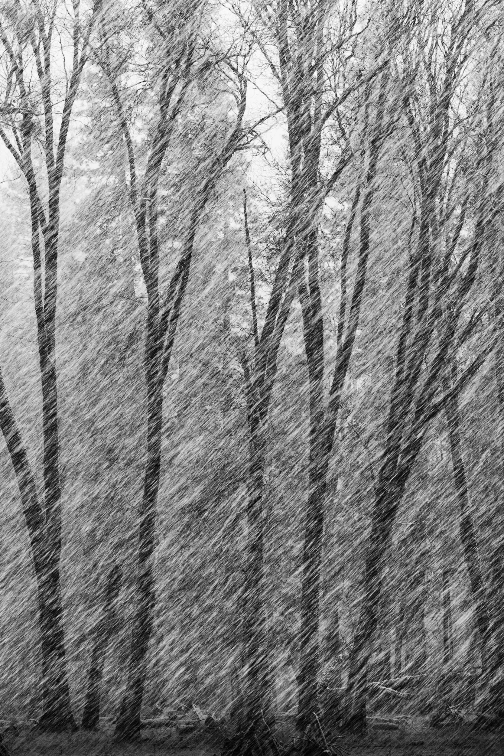 Storm