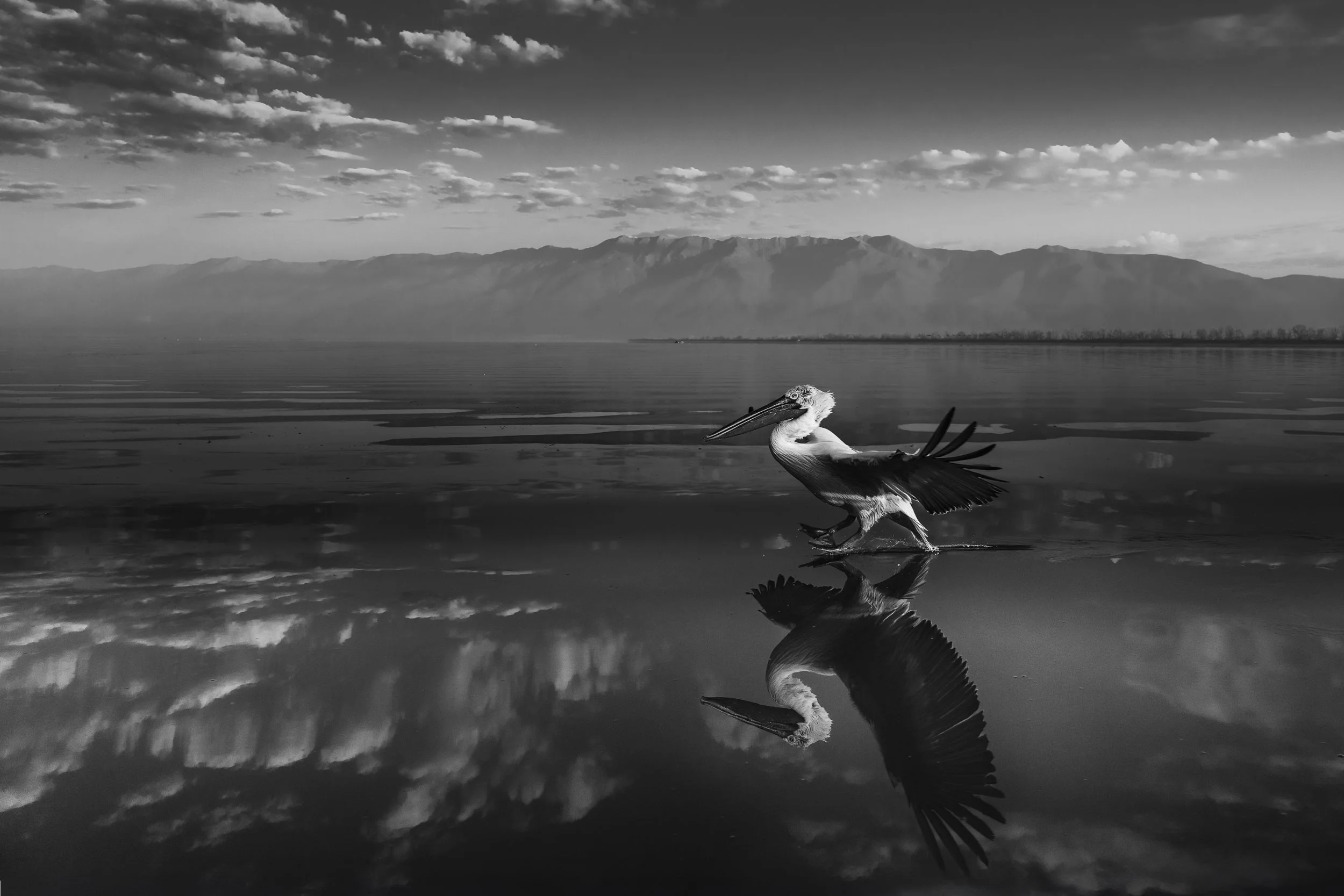 Between Worlds