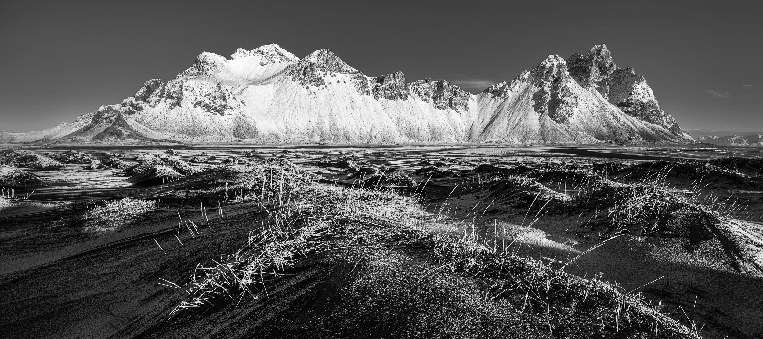 Arctic Majesty