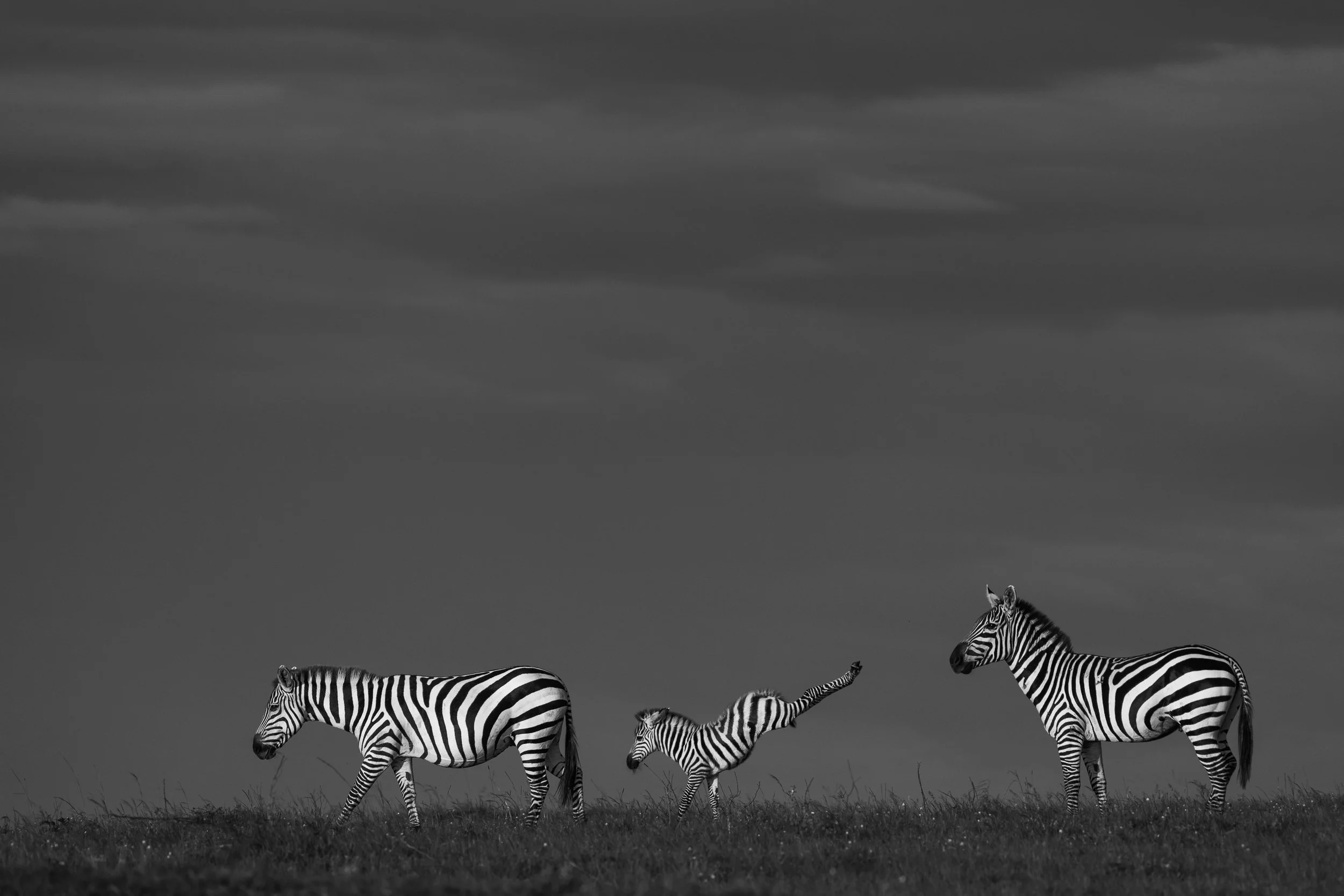 Where the Sky Begins