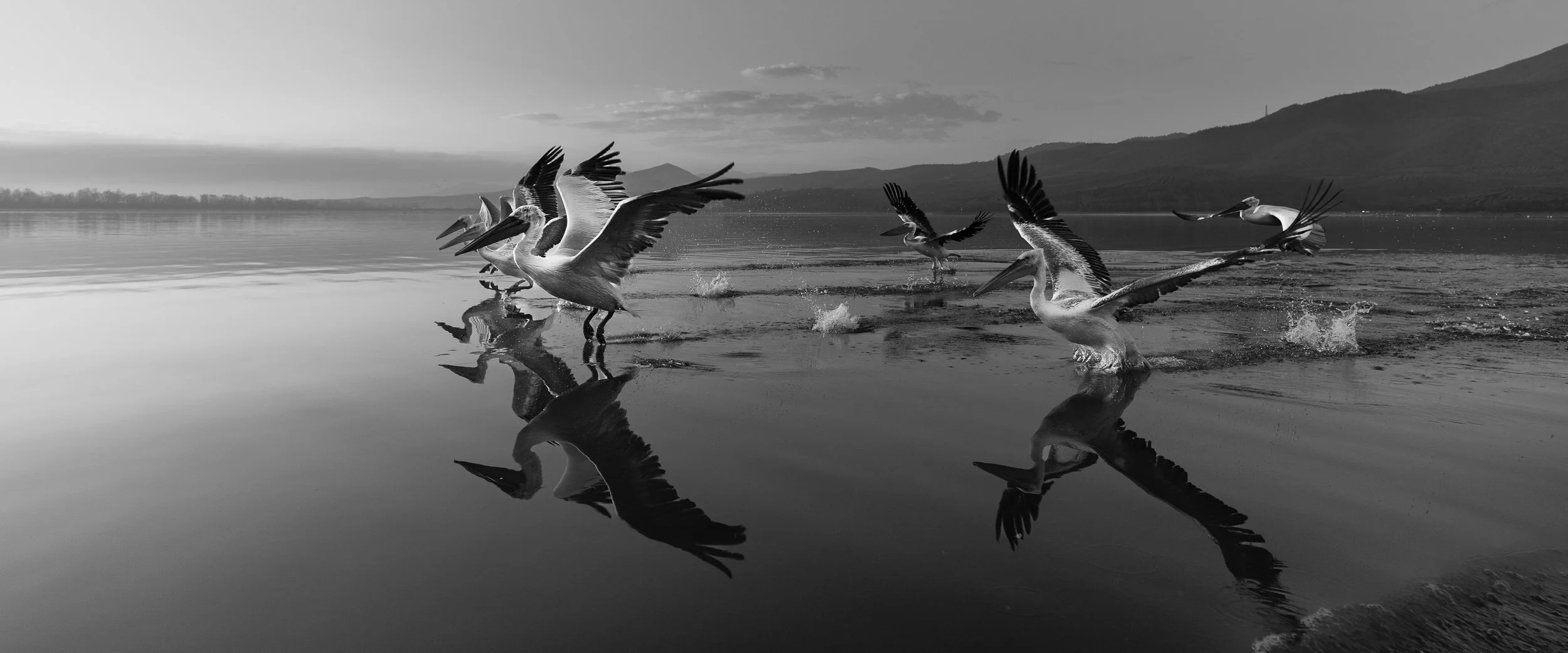 The Race