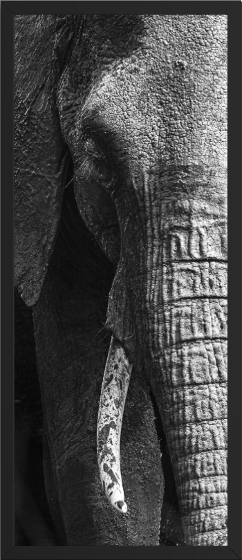 The Weight of Years — framed large format fine art print by Vasilis Moustakas, shown in interior setting