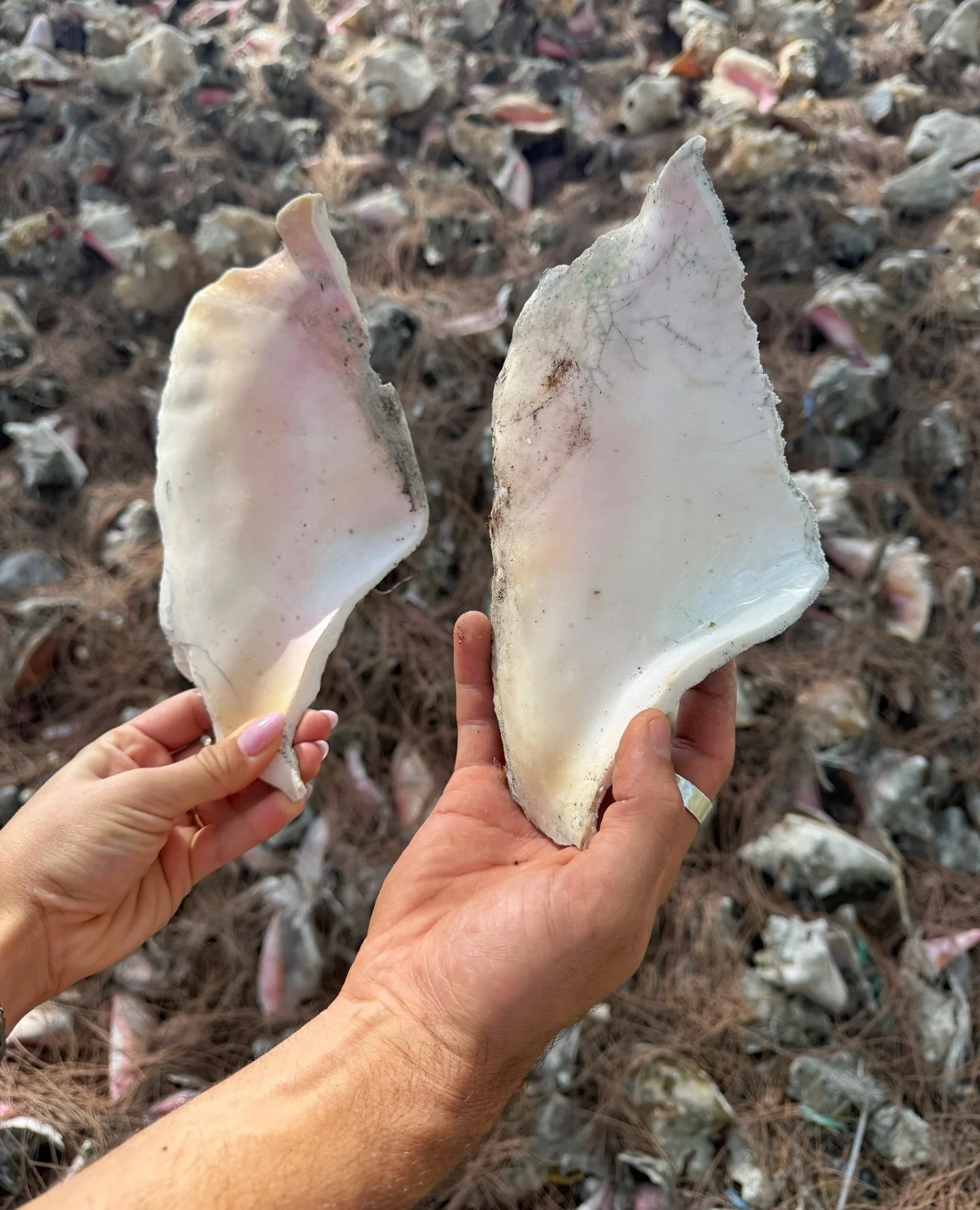 These piles hold the beginning of so many pieces 🤍 Worn, broken, overlooked, and full of so much potential. 

Here&rsquo;s a sneak peek of Tanny starting the custom frames for the two lips from the first slide 😆