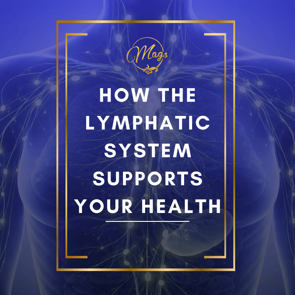 How the Lymphatic System Supports your health