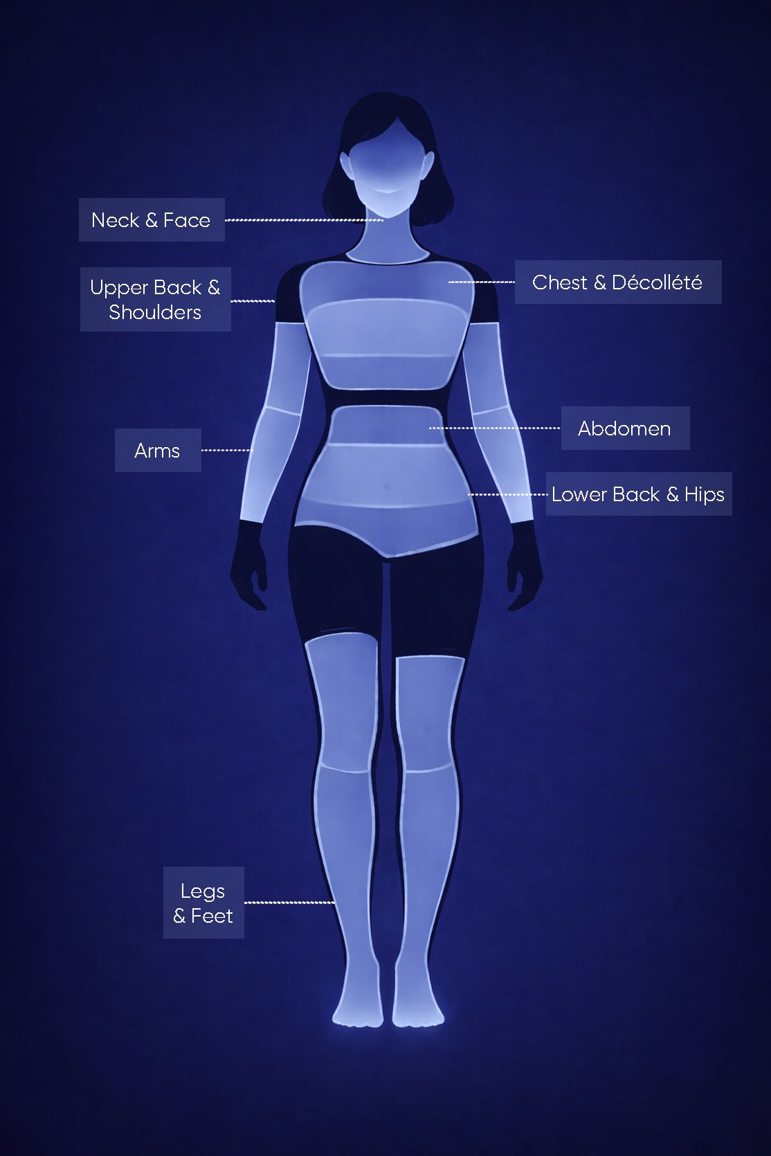Female body outline listing the lymphatic drainage treatment zones