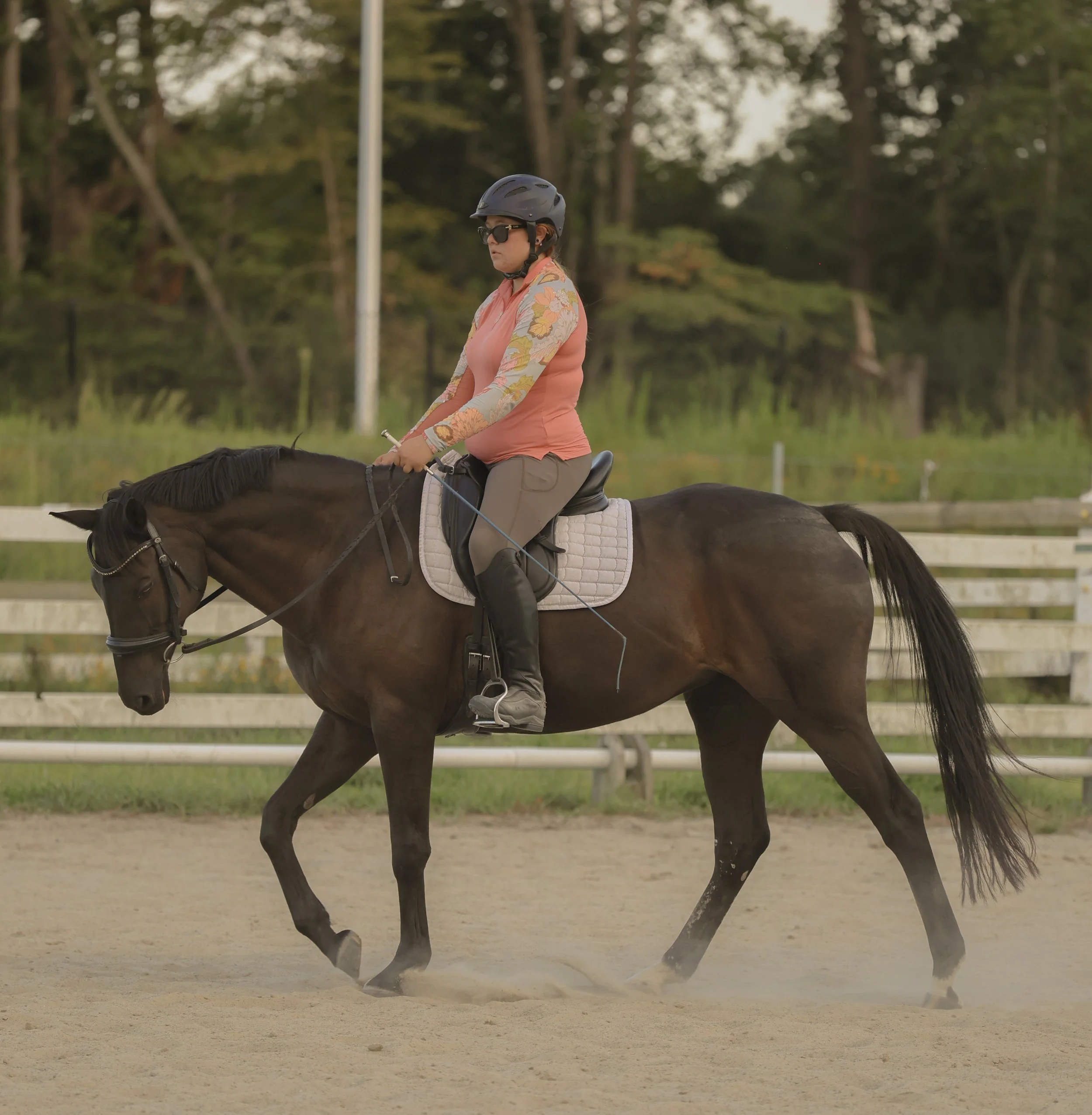 Soft Hands, Strong Connection: The Art of Gentle Riding