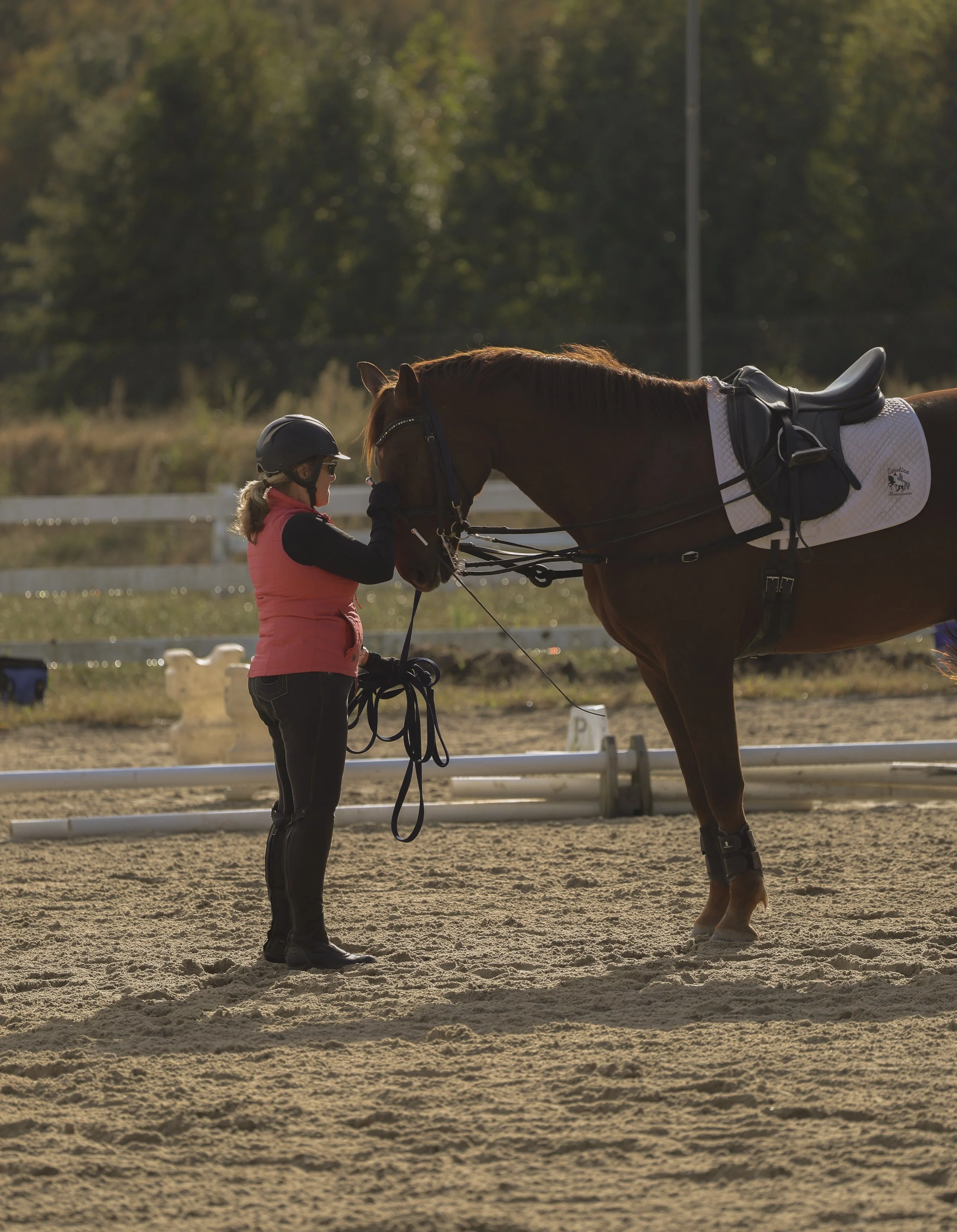 Blog: Trust Before Training: Building Respect With Your Horse