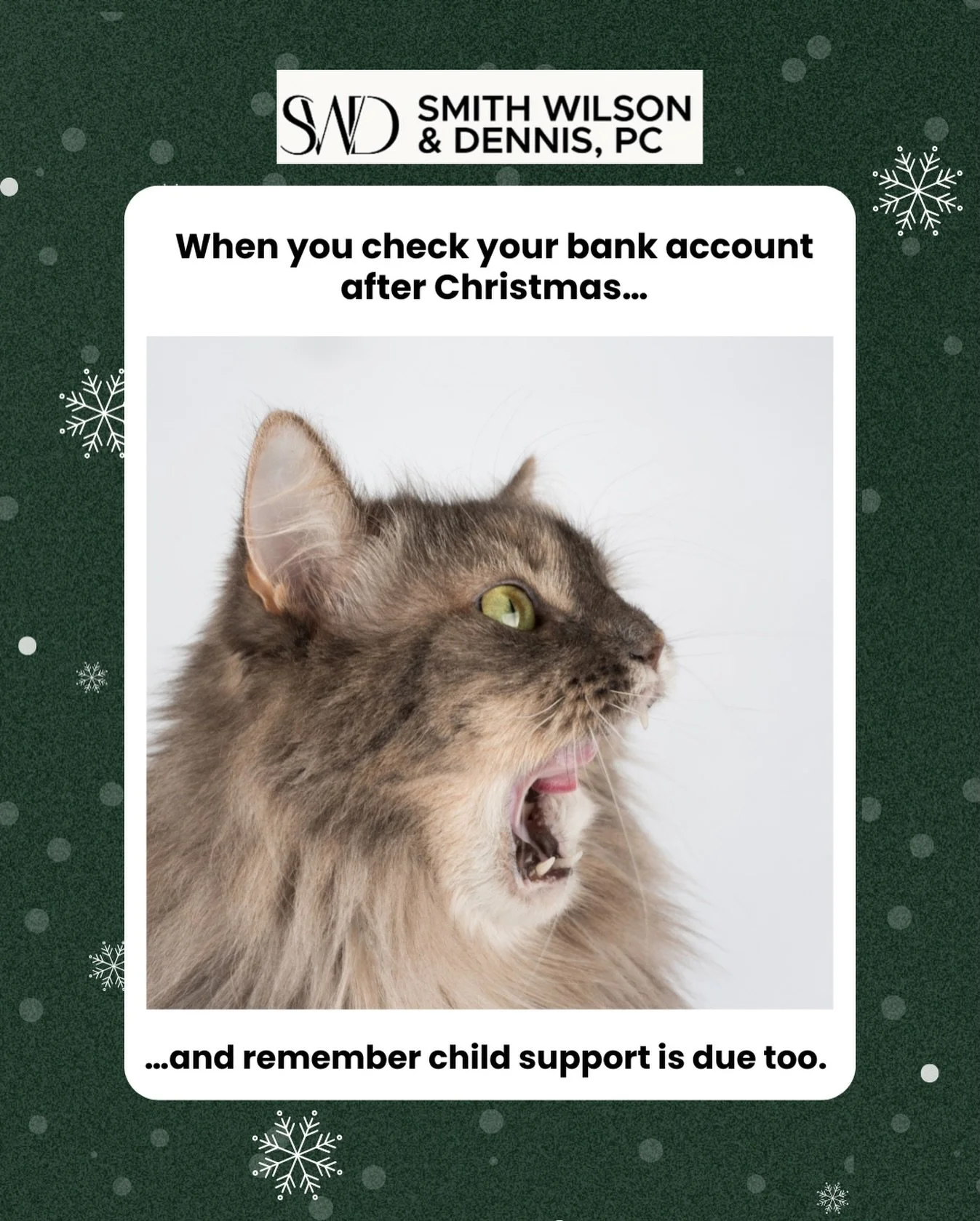 Holiday shopping hits HARD 😩🎄

Between gifts, travel, school parties, and the child support draft&hellip; listen, we understand.


If your current child support or custody order no longer fits your reality, we can walk you through modification