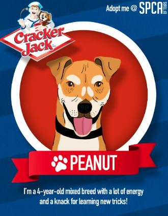 Screenshot 2025-09-11 at 8.05.03 PM.png