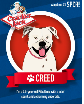 Screenshot 2025-09-11 at 8.05.31 PM.png