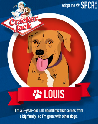 Screenshot 2025-09-11 at 8.05.21 PM.png