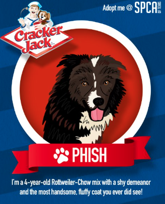 Screenshot 2025-09-11 at 8.04.55 PM.png