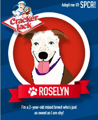 Screenshot 2025-09-11 at 8.04.47 PM.png