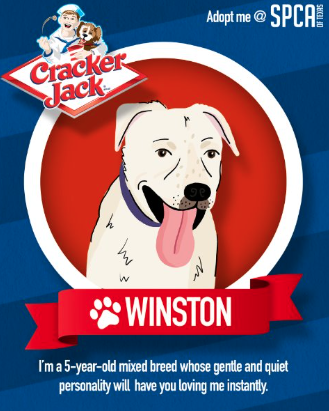 Screenshot 2025-09-11 at 8.03.33 PM.png