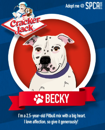 Screenshot 2025-09-11 at 8.05.59 PM.png