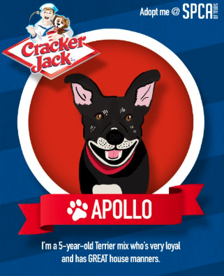 Screenshot 2025-09-11 at 8.06.12 PM.png