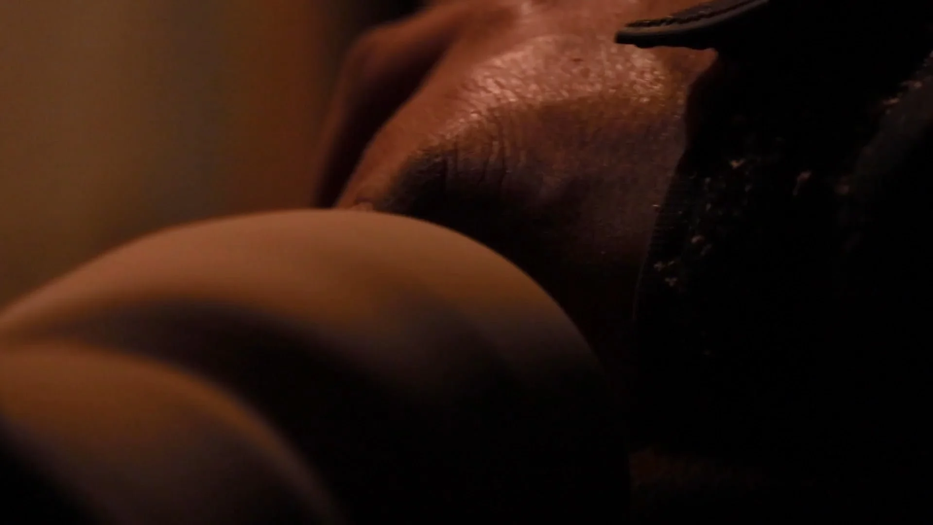 Late Winter/ Shapes of Wood (2018)