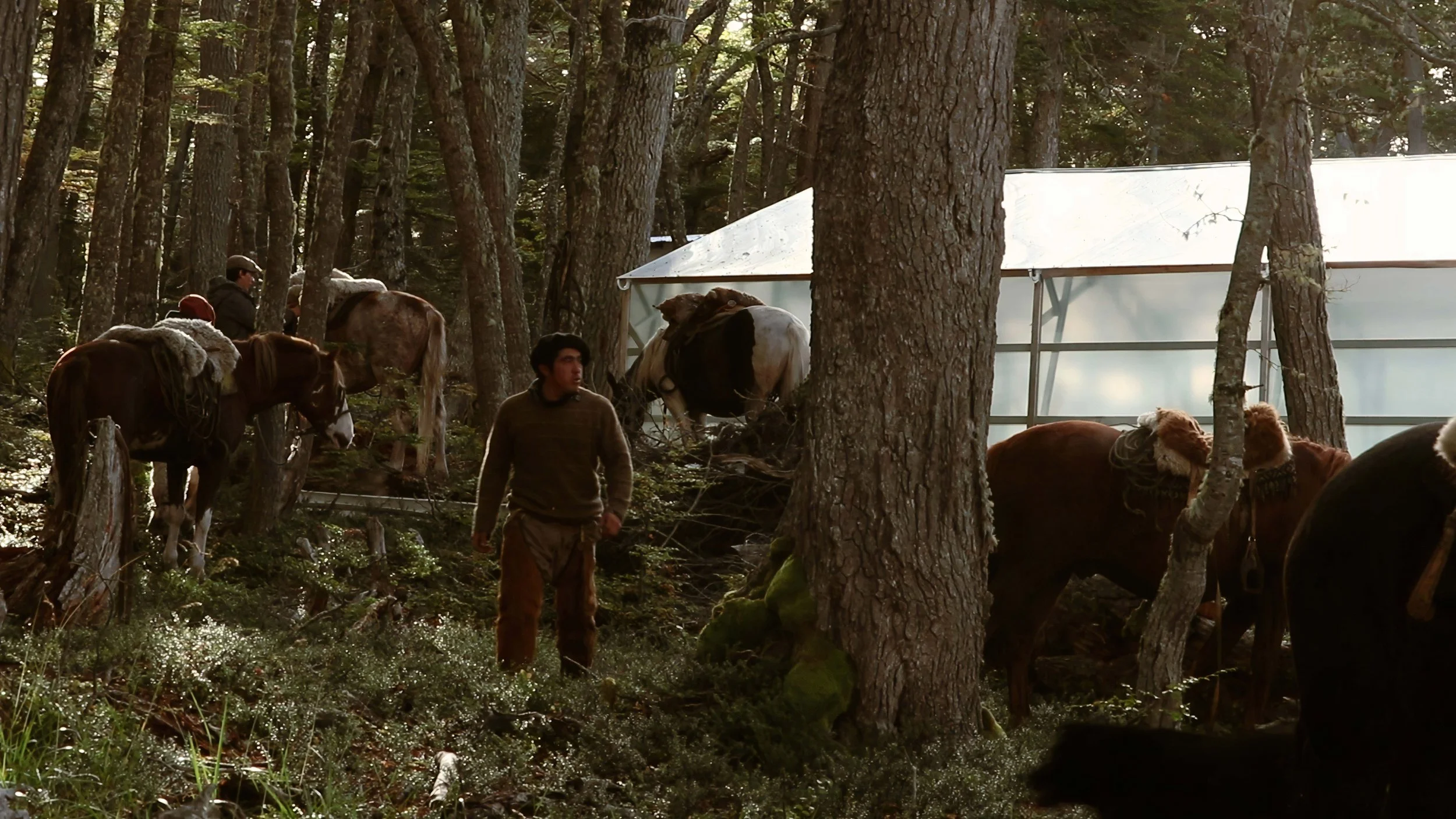 On the Traces of Time (2022)